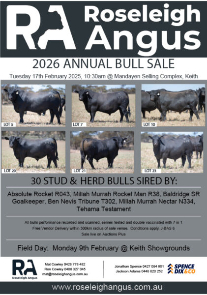 Roseleigh Angus Bull Sale