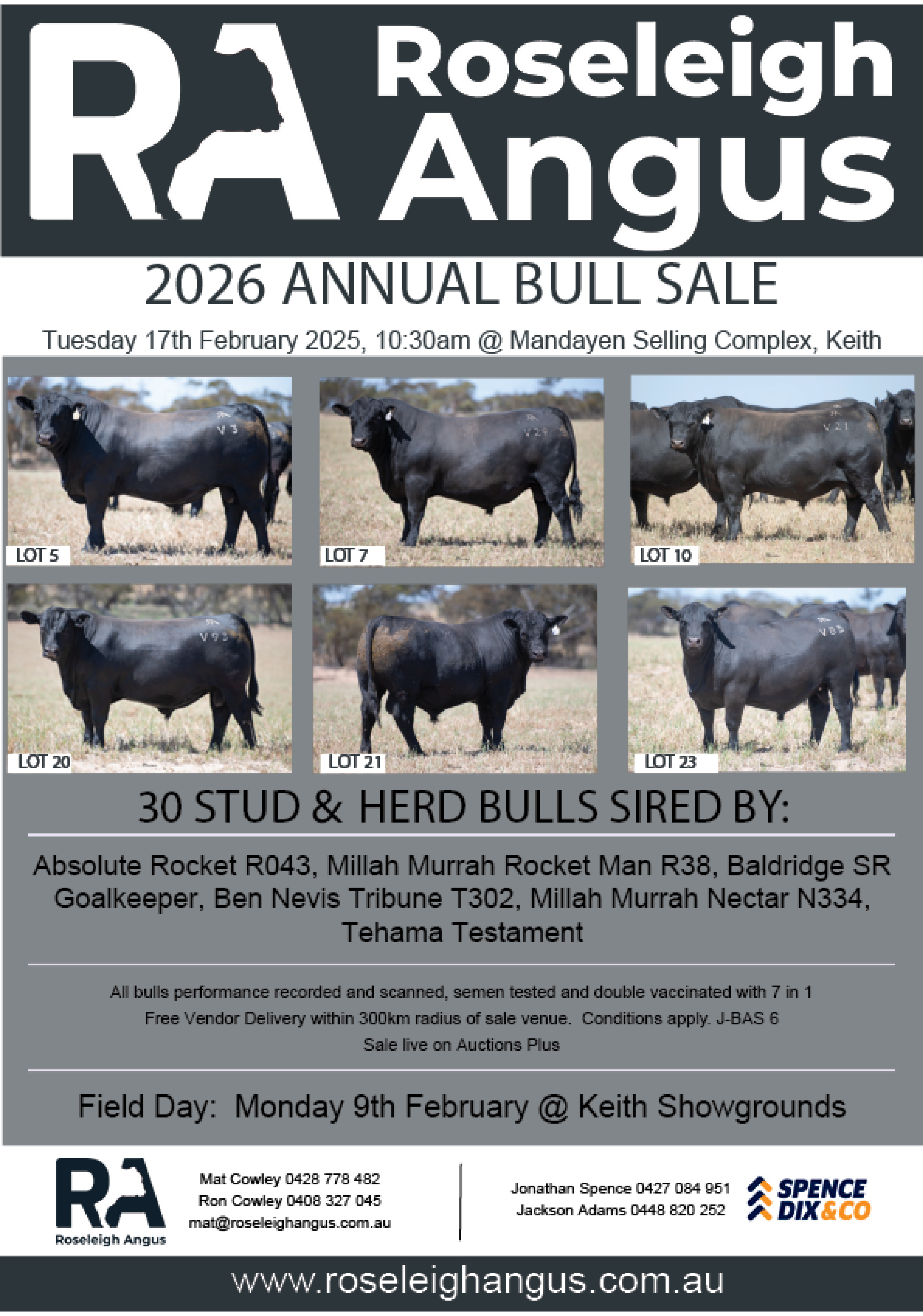 Roseleigh Angus Bull Sale
