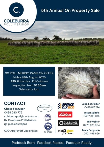 Coleburra Poll Merinos 4th Annual Ram Sale