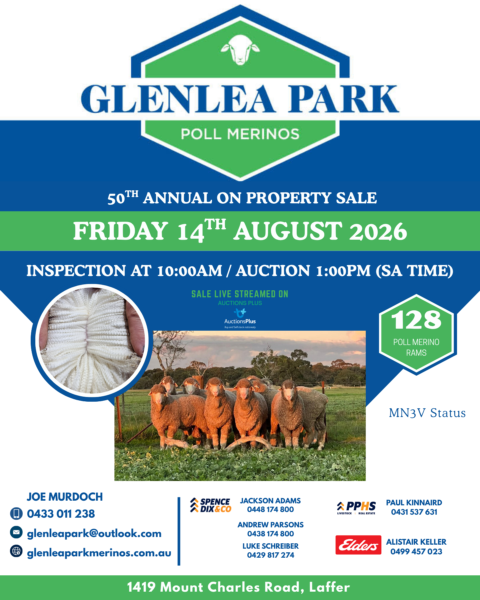 Glenlea Park 50th Annual Poll Merino Ram Sale
