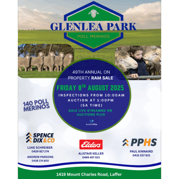 Glenlea Park 49th Annual Poll Merino Ram Sale
