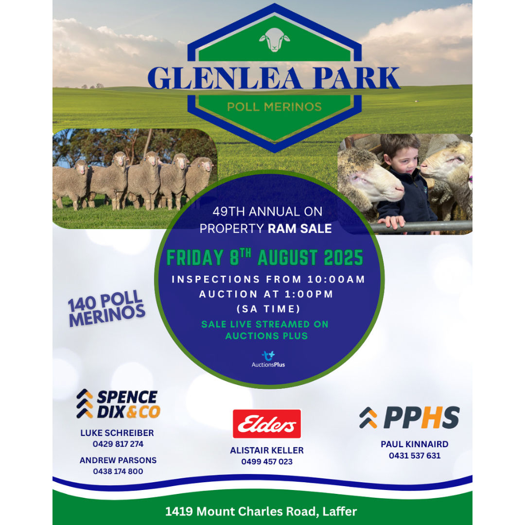Glenlea Park 49th Annual Poll Merino Ram Sale