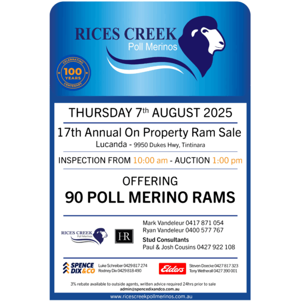 Rices Creek 17th Annual Poll Merino Ram Sale