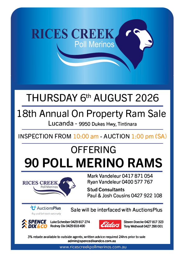 Rices Creek 18th Annual Poll Merino Ram Sale