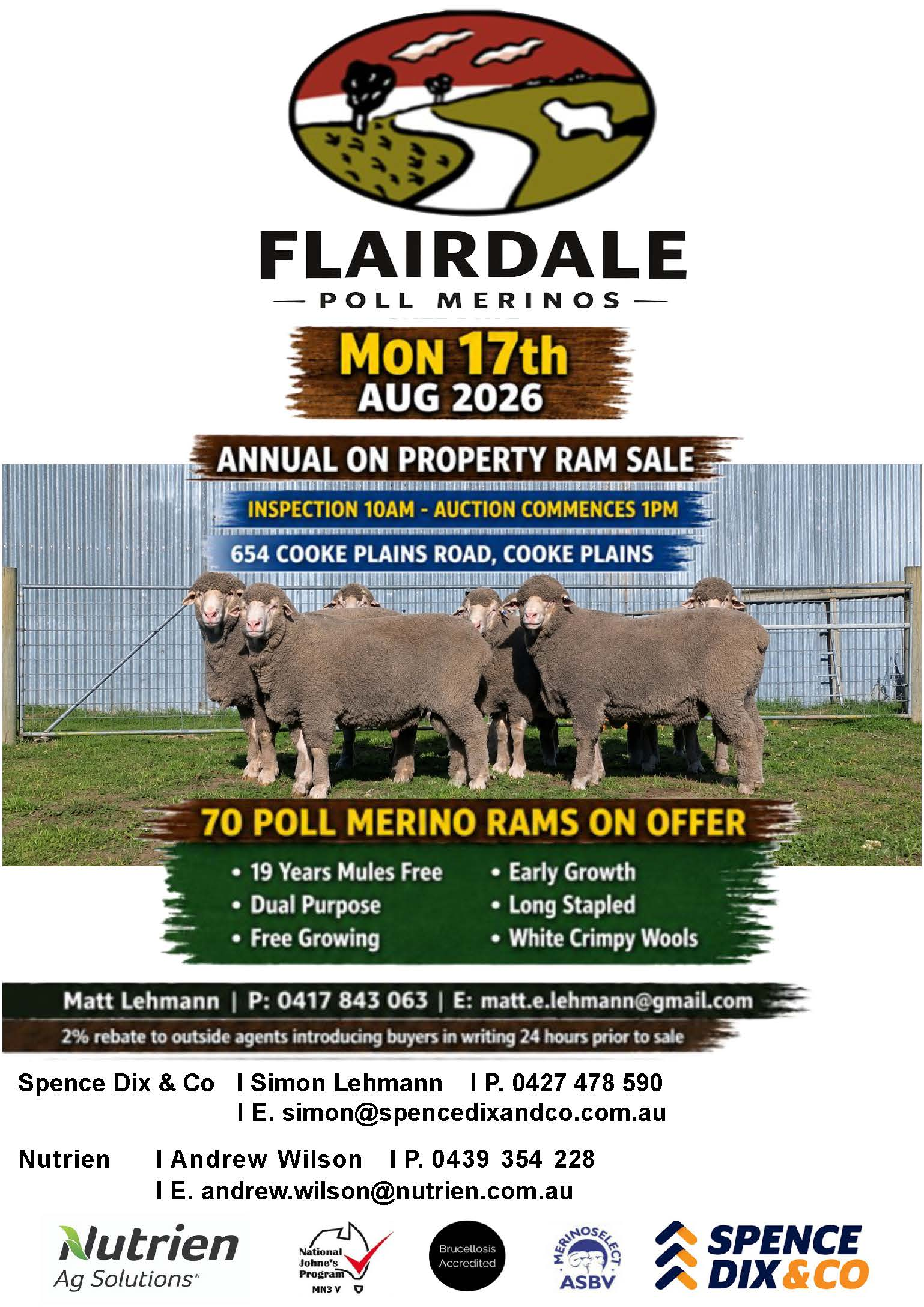 Flairdale Poll Merino Ram Sale