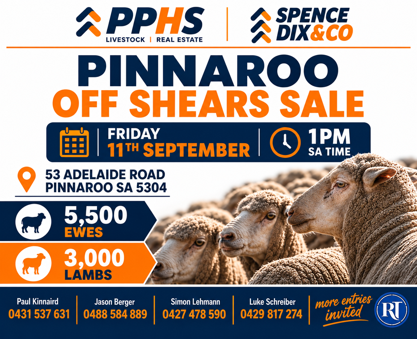 Pinnaroo Off Shears Sale