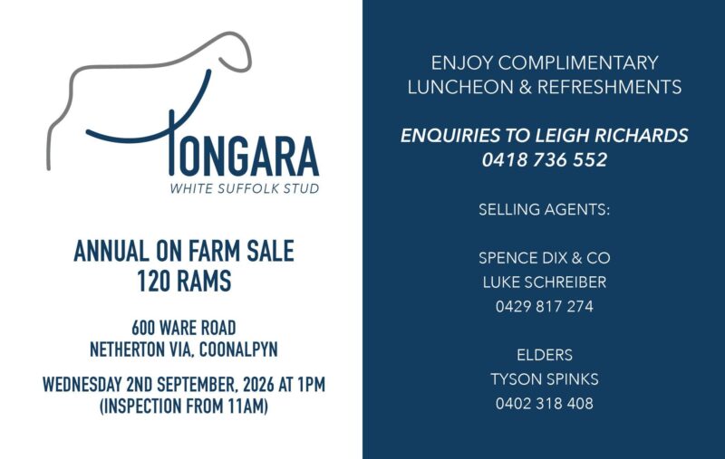 Tongara White Suffolk Stud Annual Ram Sale