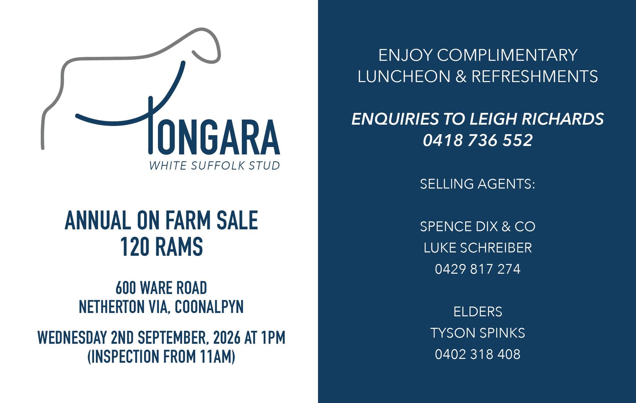 Tongara White Suffolk Stud Annual Ram Sale