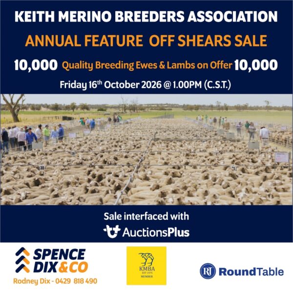 Keith Merino Breeders Association Annual Off Shears Sale