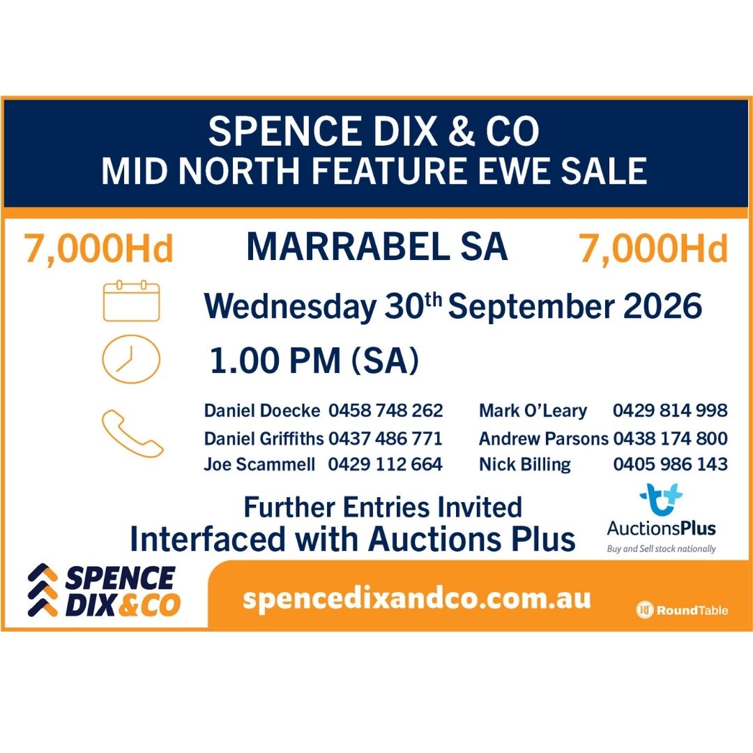 Marrabel Mid North Feature Ewe Sale