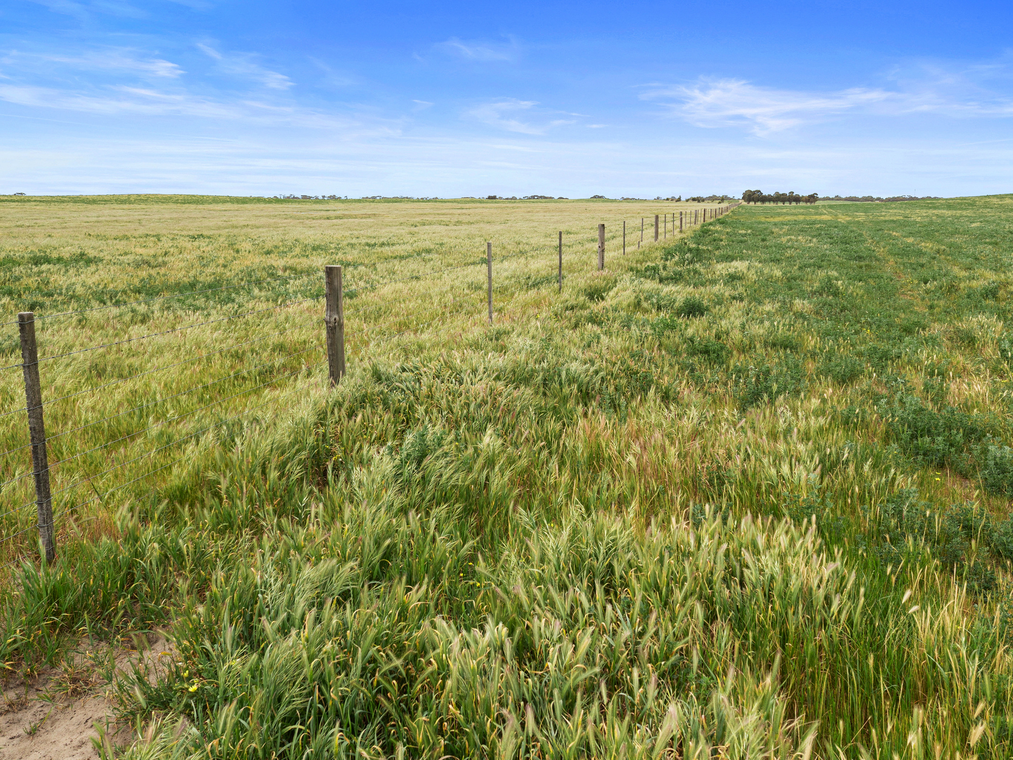 Allotment 17 Red Bluff Road, Senior SA 5268