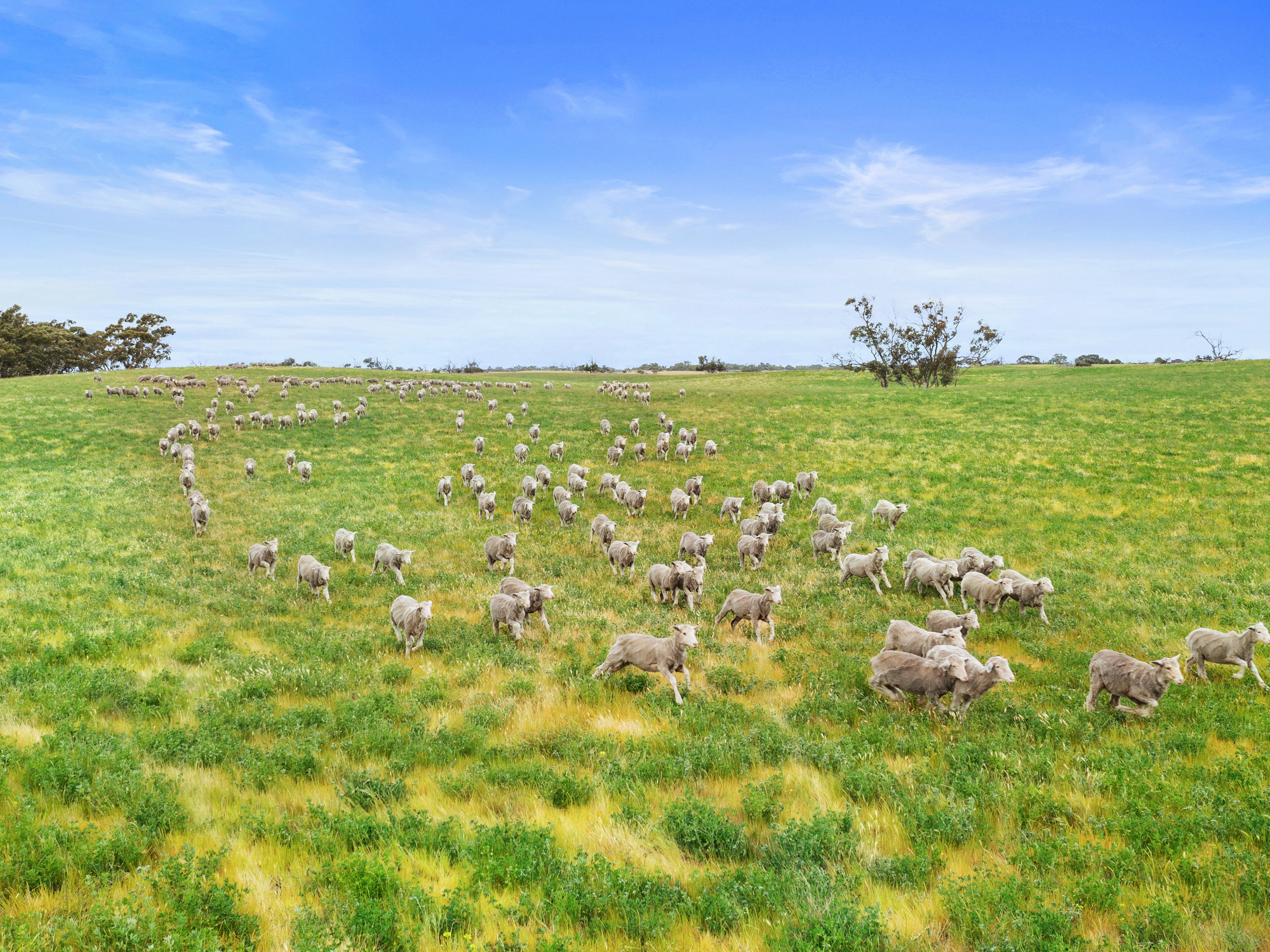 Allotment 17 Red Bluff Road, Senior SA 5268