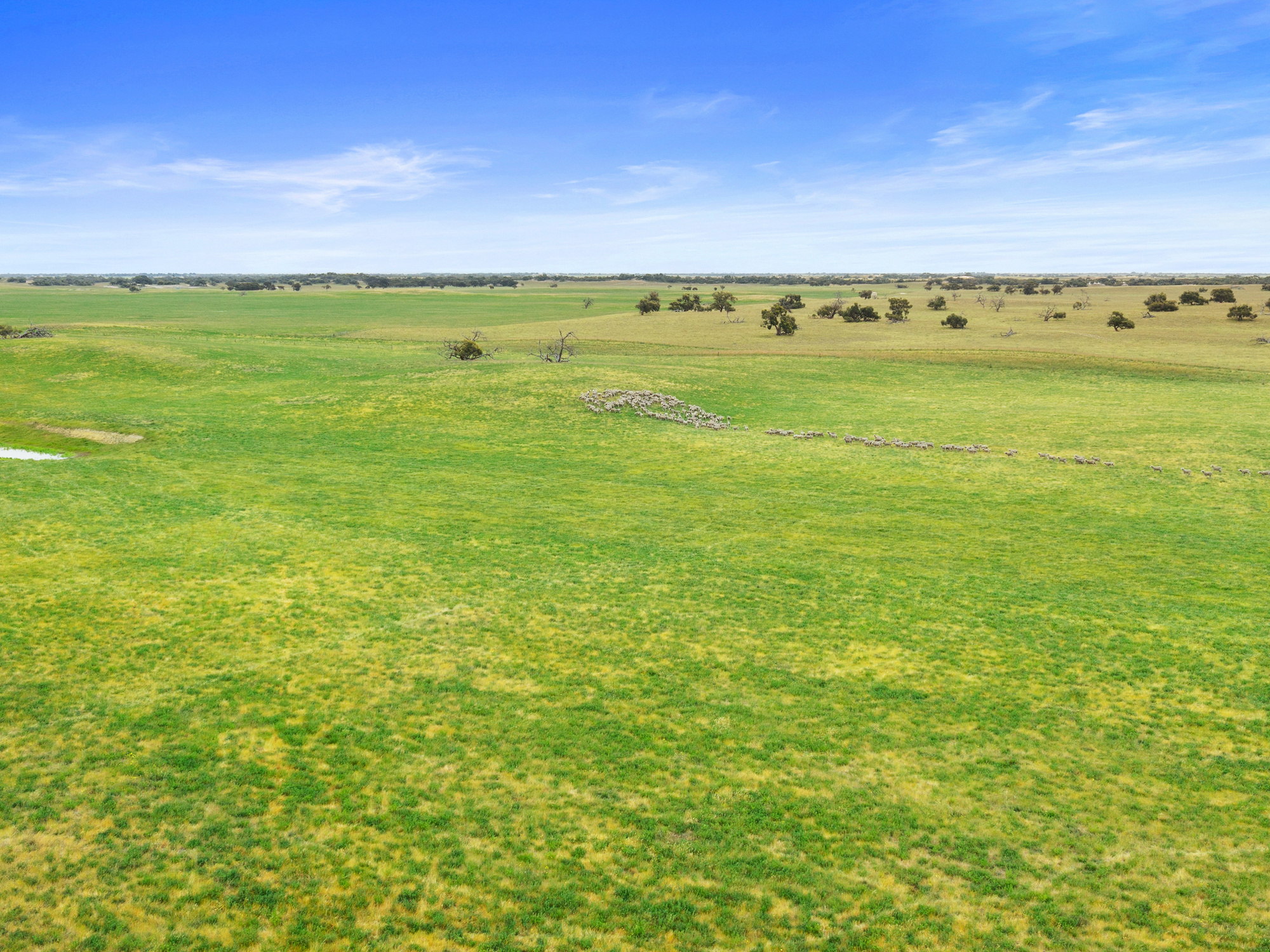 Allotment 17 Red Bluff Road, Senior SA 5268
