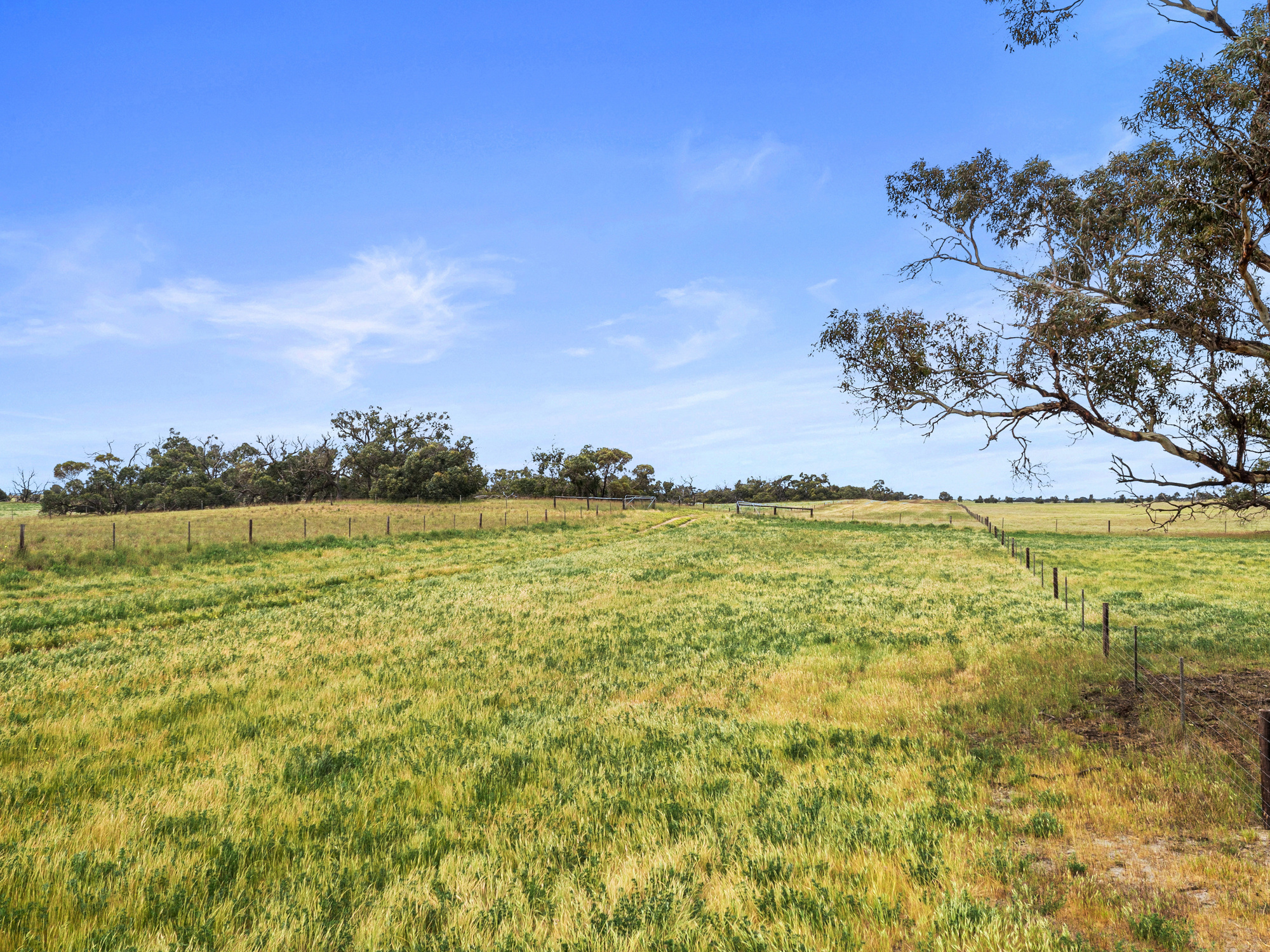 Allotment 17 Red Bluff Road, Senior SA 5268