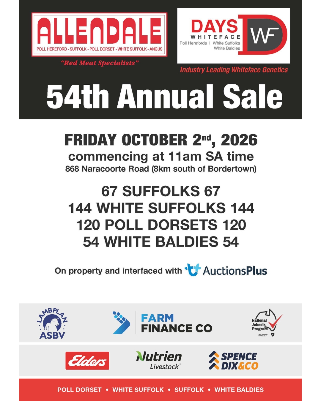 Allendale / Days Whiteface Ram Sale