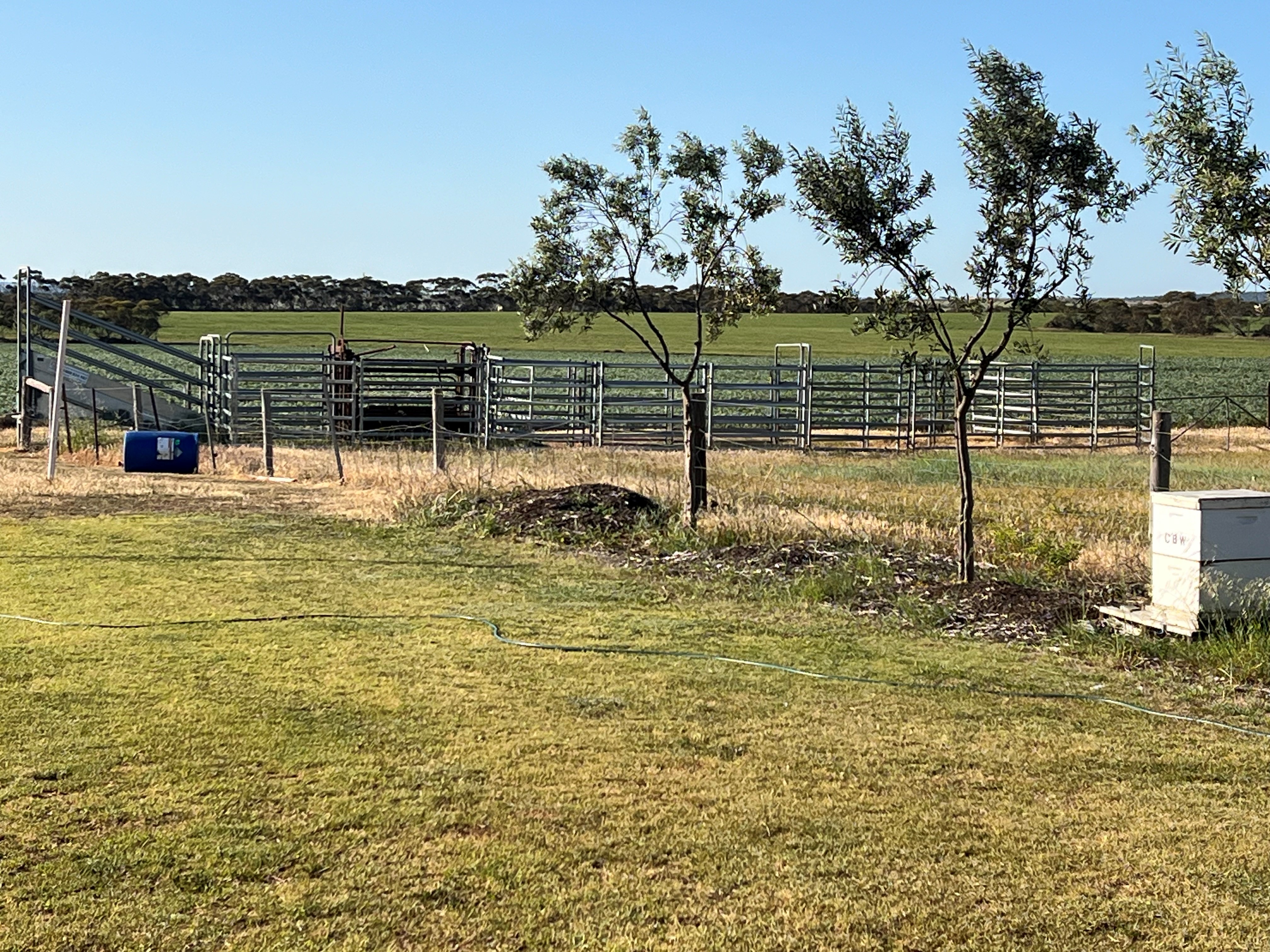 135 Chilton Scrub Road, Langhorne Creek SA 5255