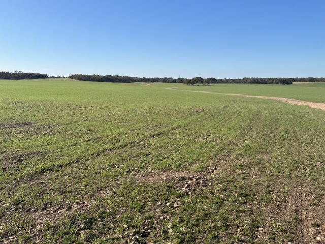 Portion of 820 Green Road, Ettrick SA 5253