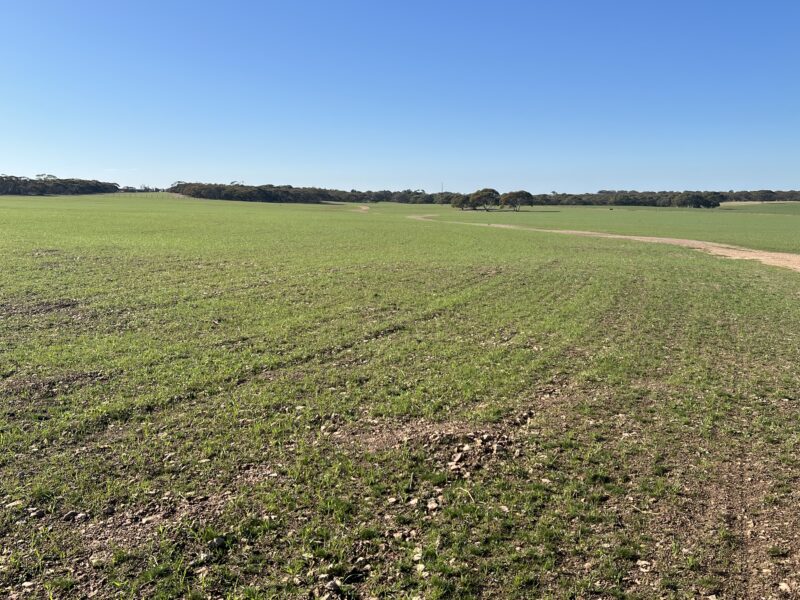 Portion of 820 Green Road, Ettrick SA 5253