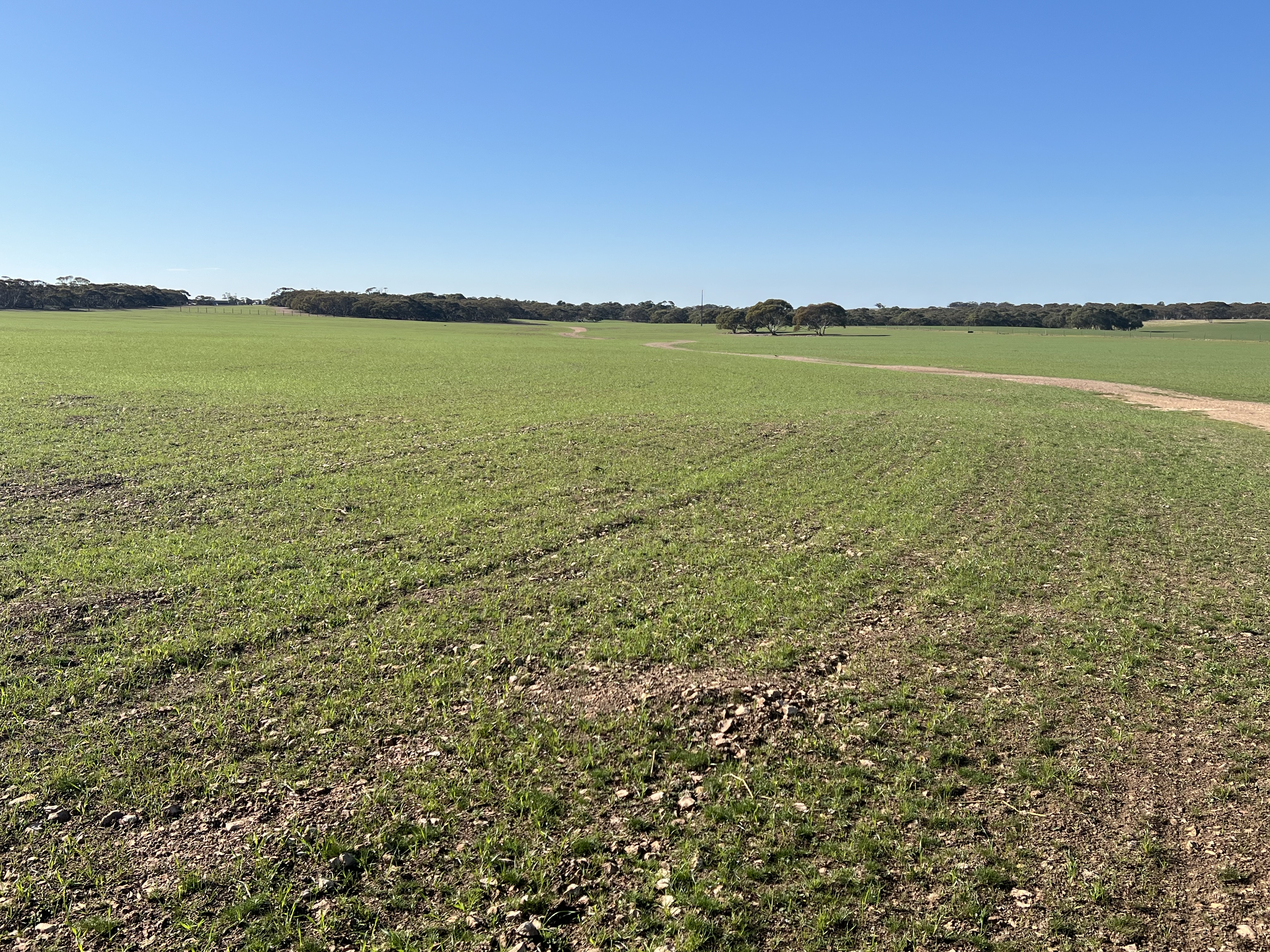 Portion of 820 Green Road, Ettrick SA 5253
