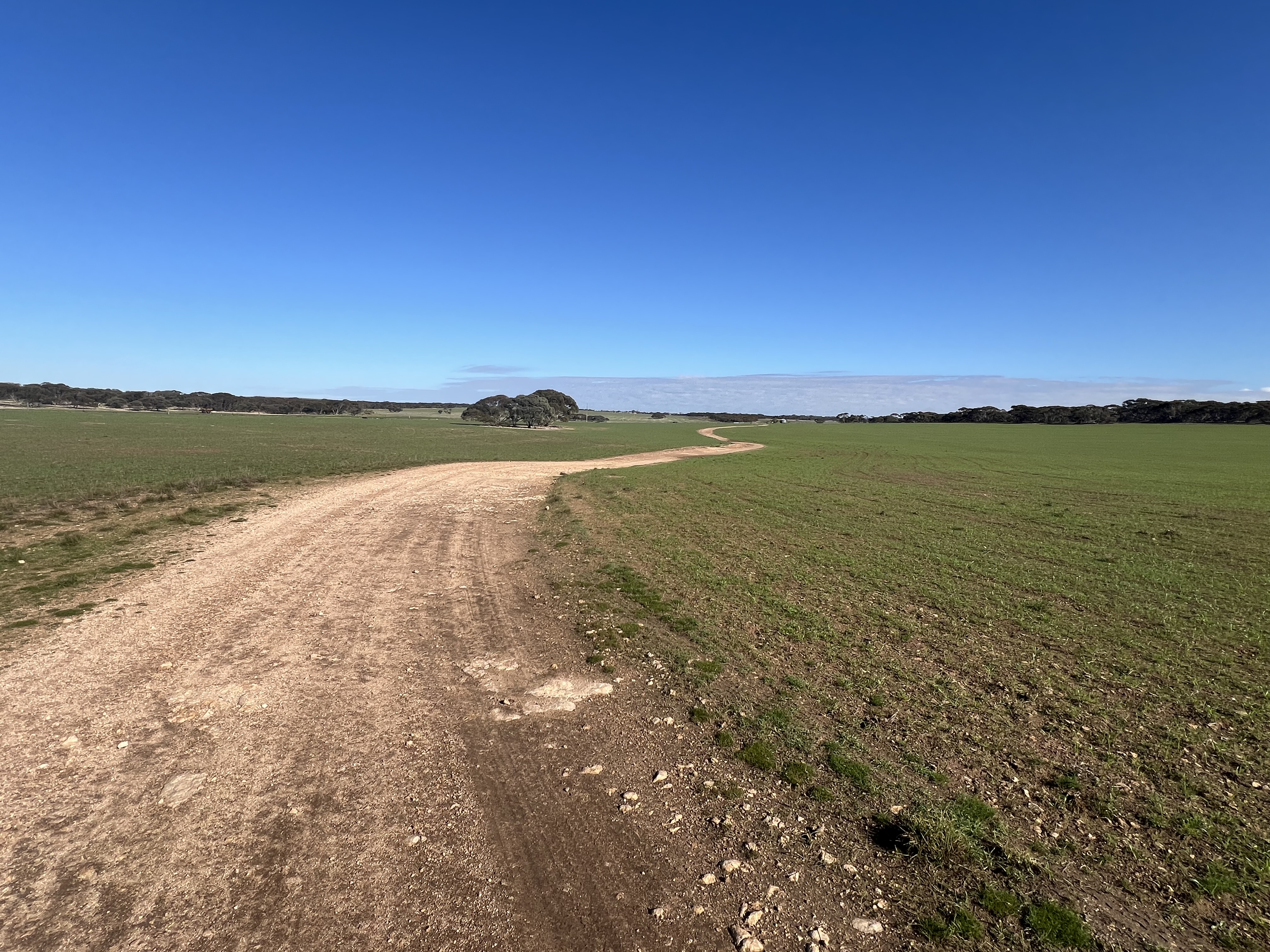 Portion of 820 Green Road, Ettrick SA 5253