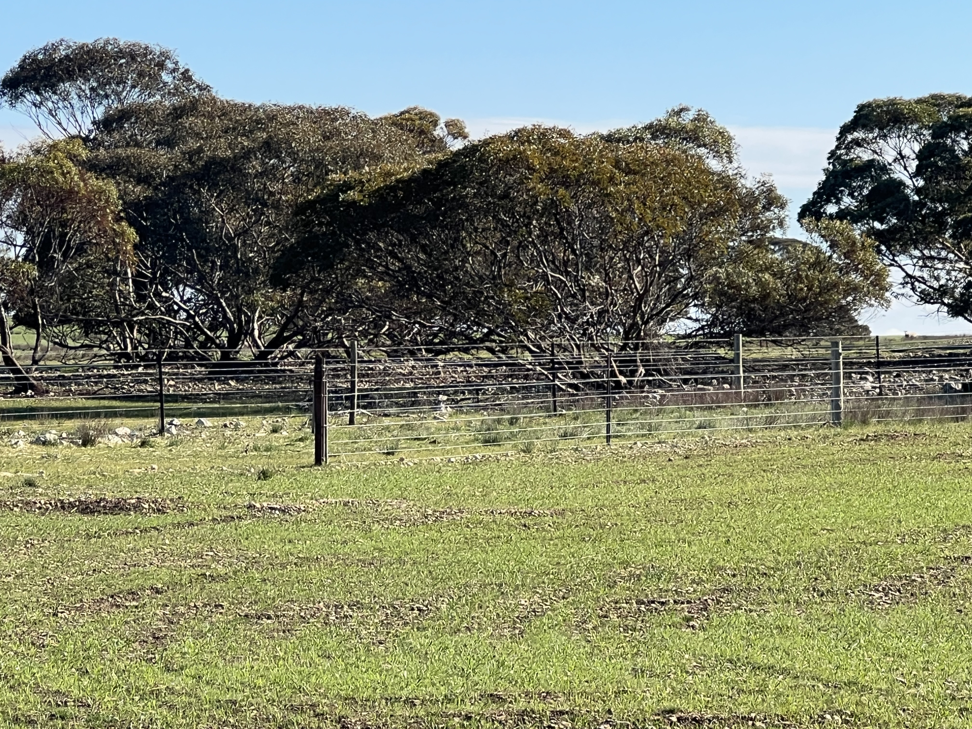 Portion of 820 Green Road, Ettrick SA 5253