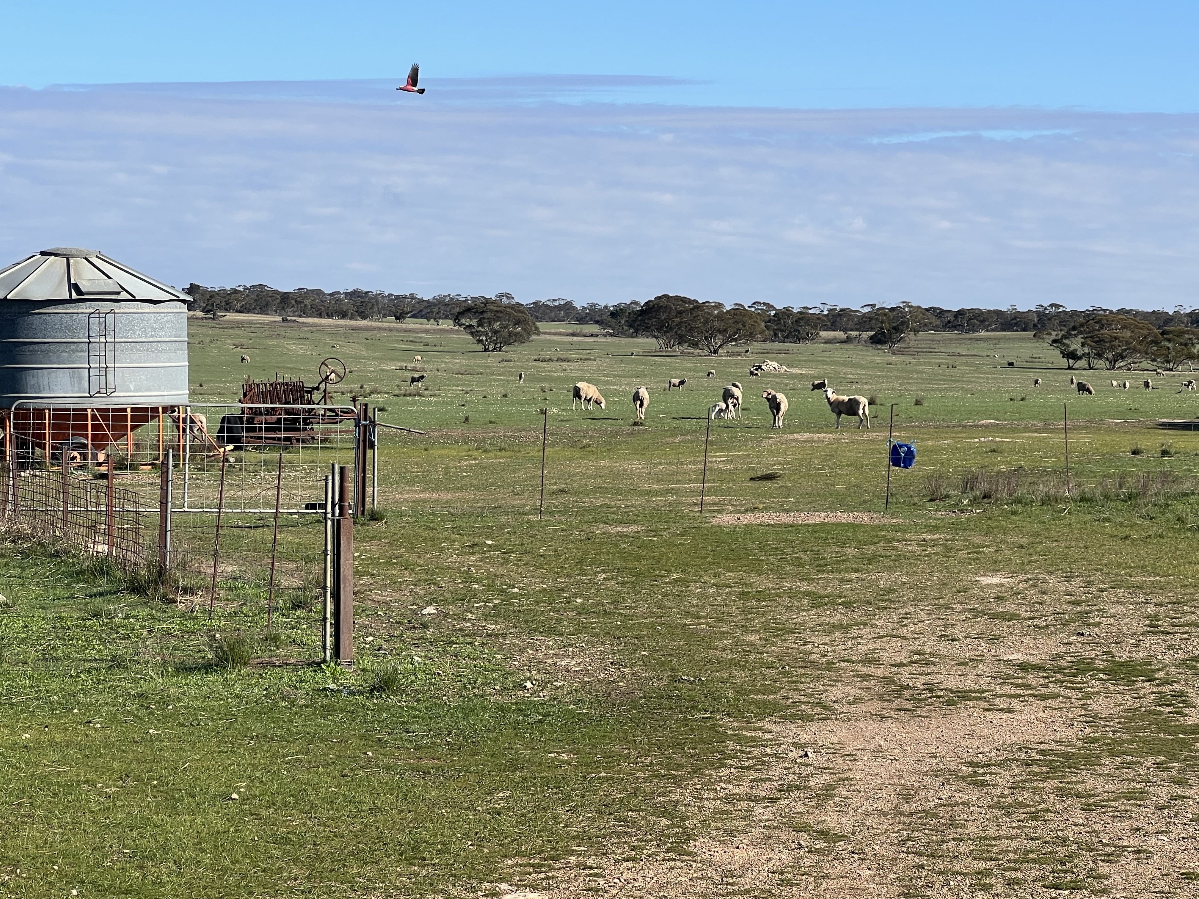 Portion of 820 Green Road, Ettrick SA 5253