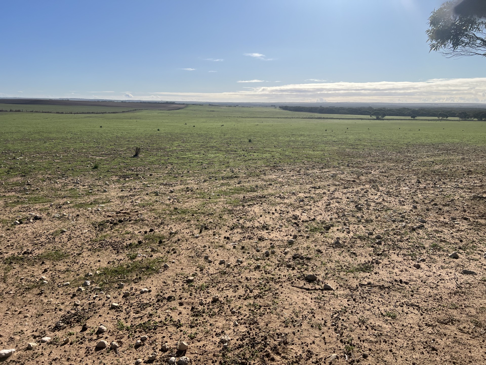 Portion of 820 Green Road, Ettrick SA 5253