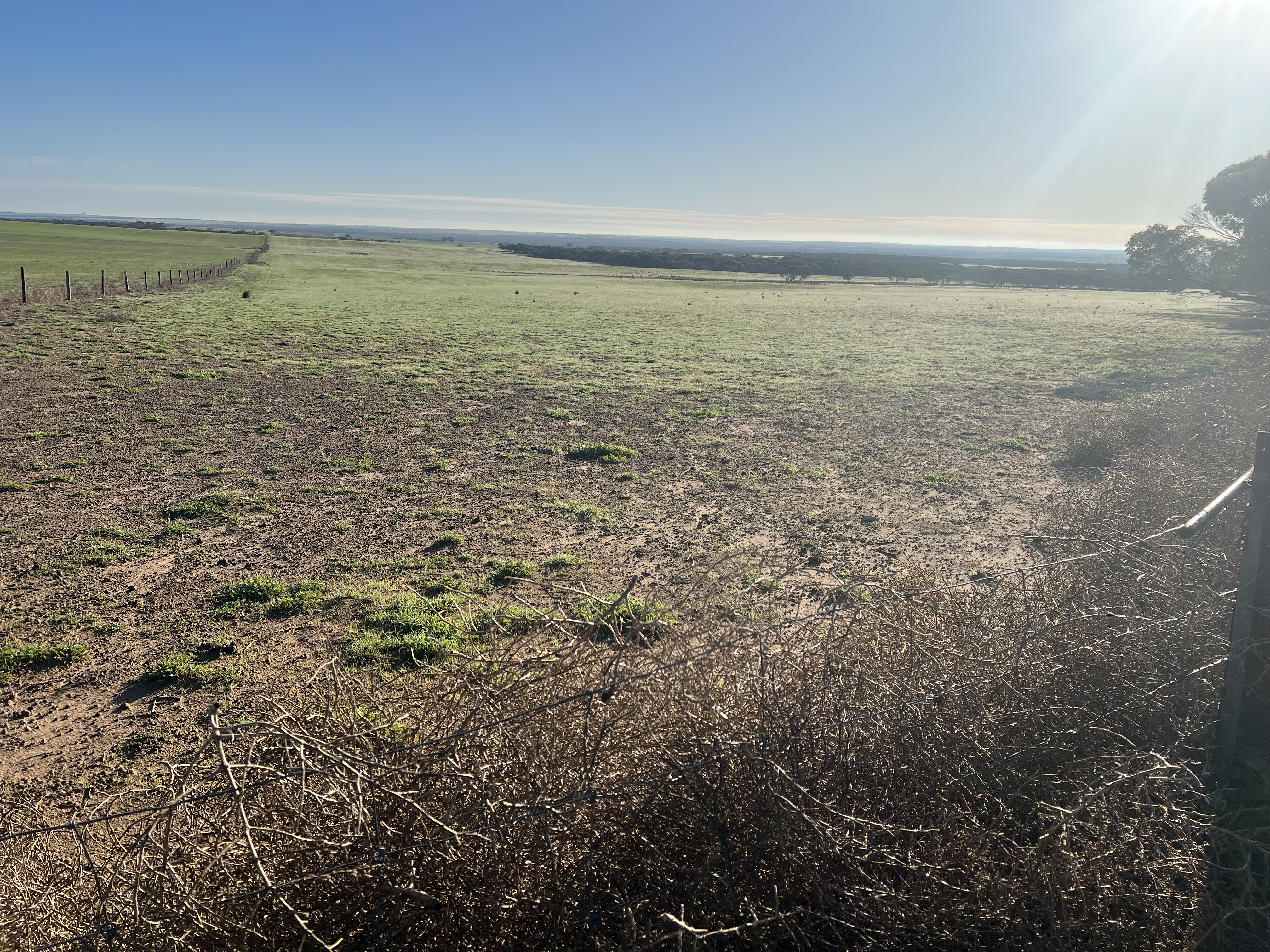 Portion of 820 Green Road, Ettrick SA 5253