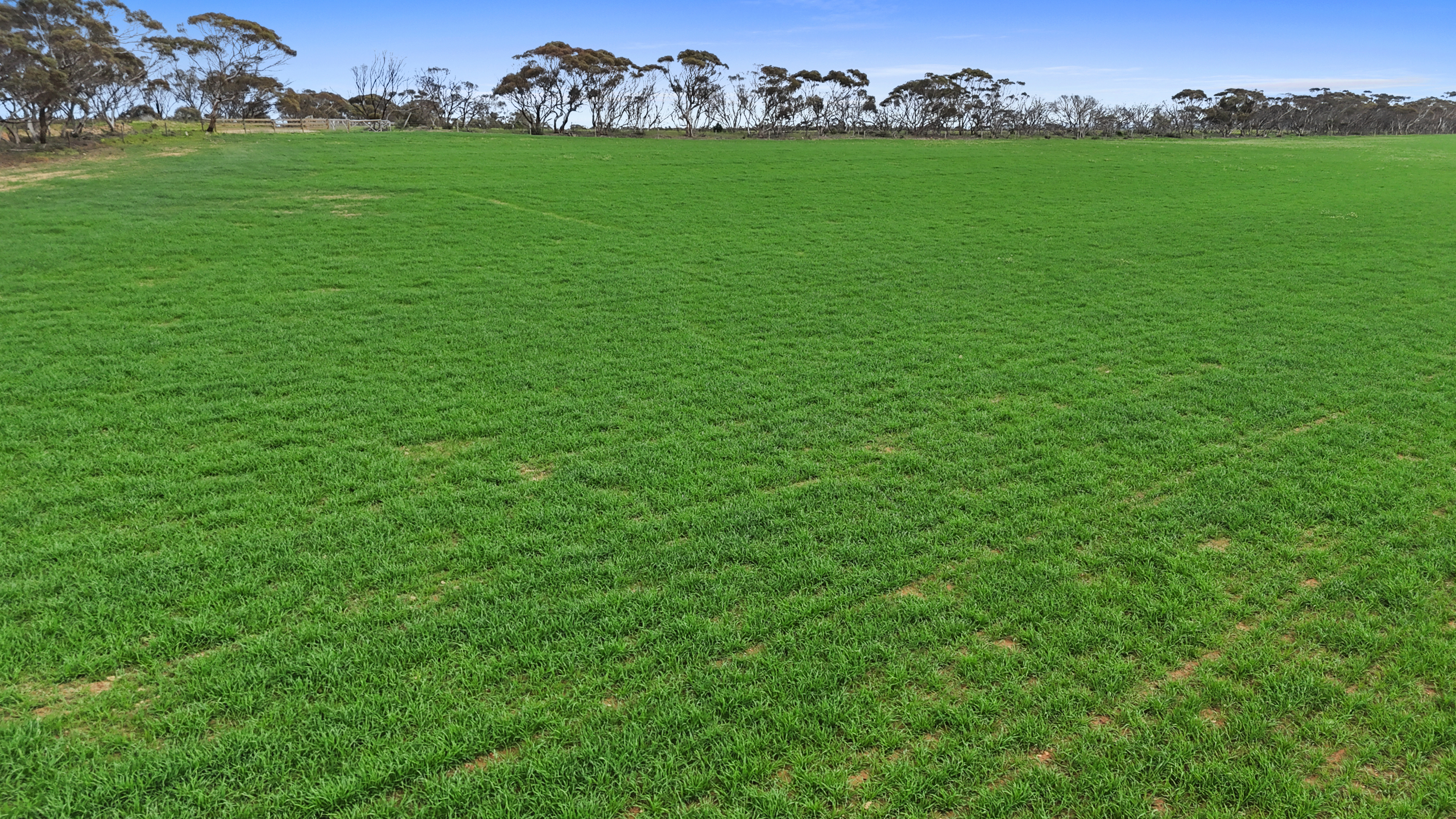 135 Chilton Scrub Road, Langhorne Creek SA 5255