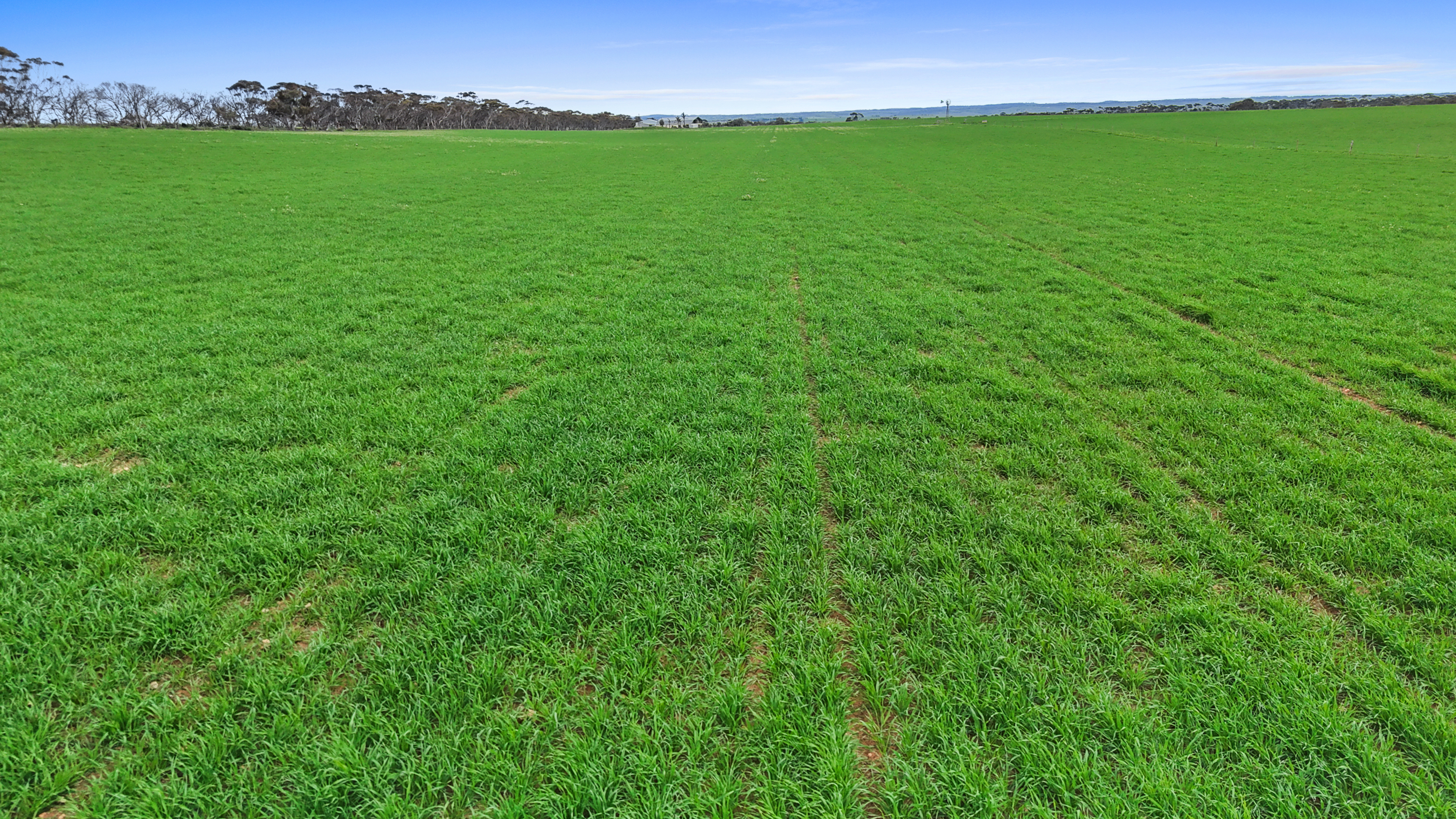 135 Chilton Scrub Road, Langhorne Creek SA 5255