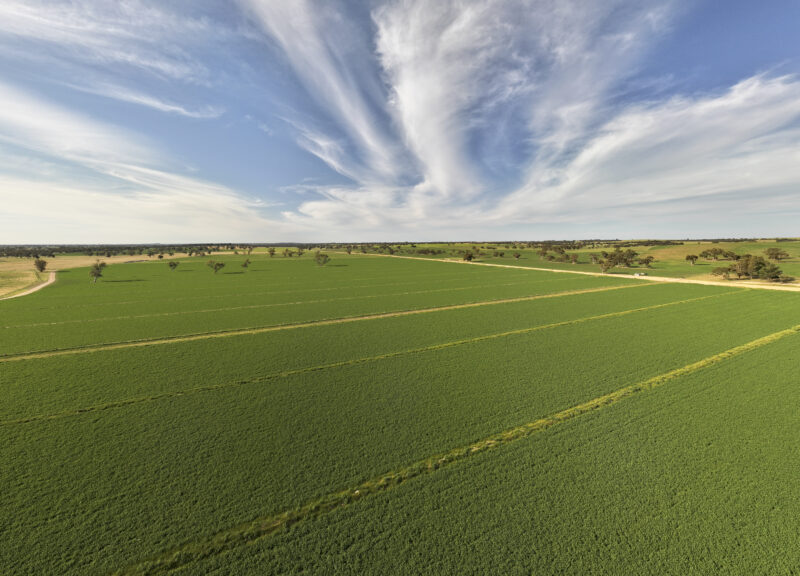 13488 Dukes Highway, Keith SA 5267