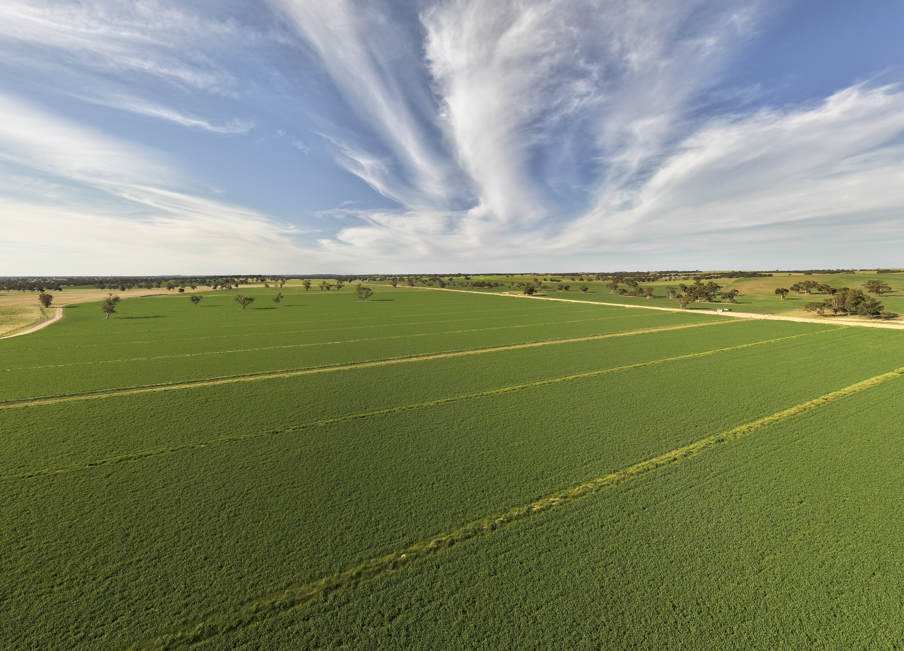 13488 Dukes Highway, Keith SA 5267