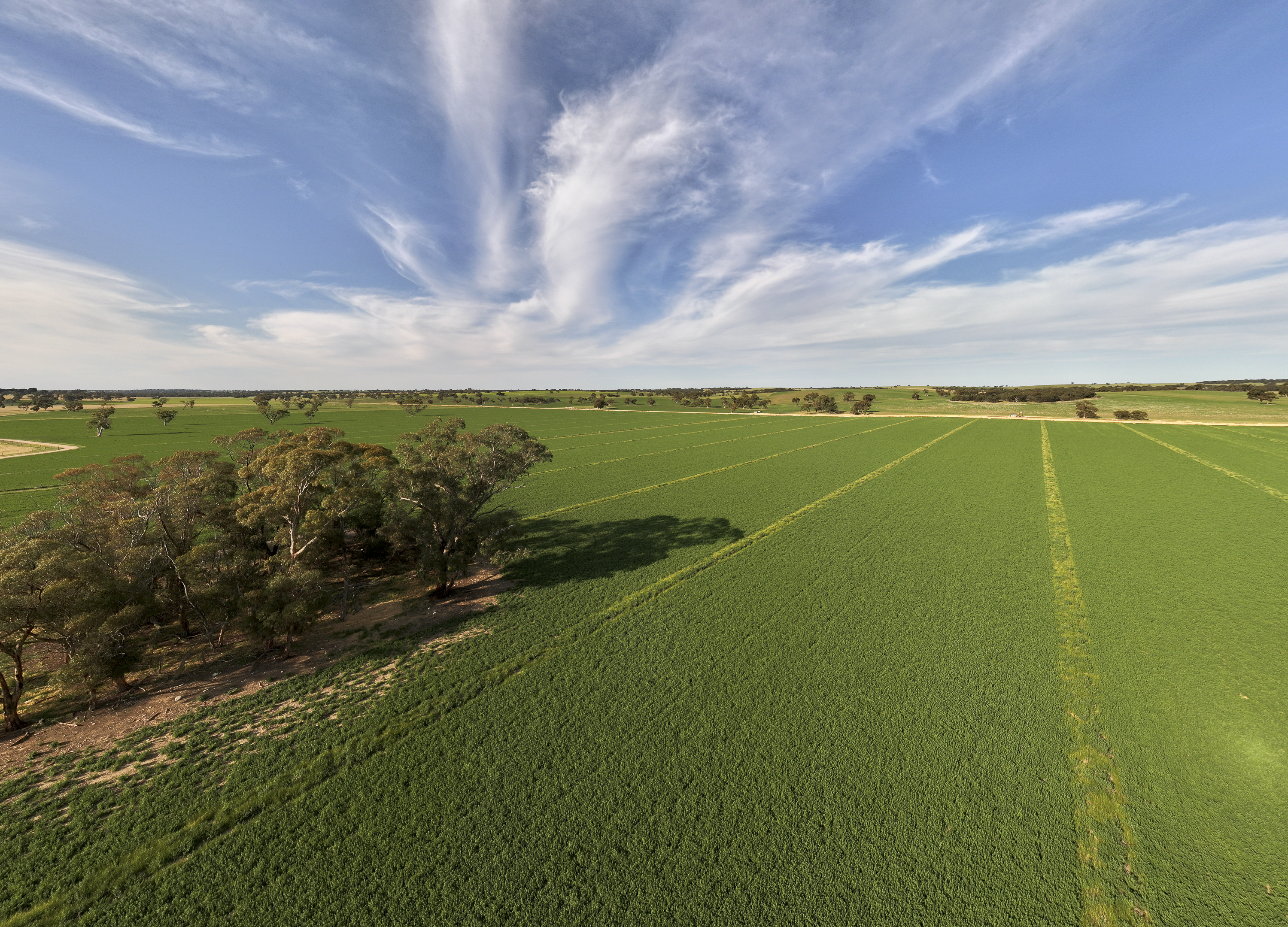 13488 Dukes Highway, Keith SA 5267