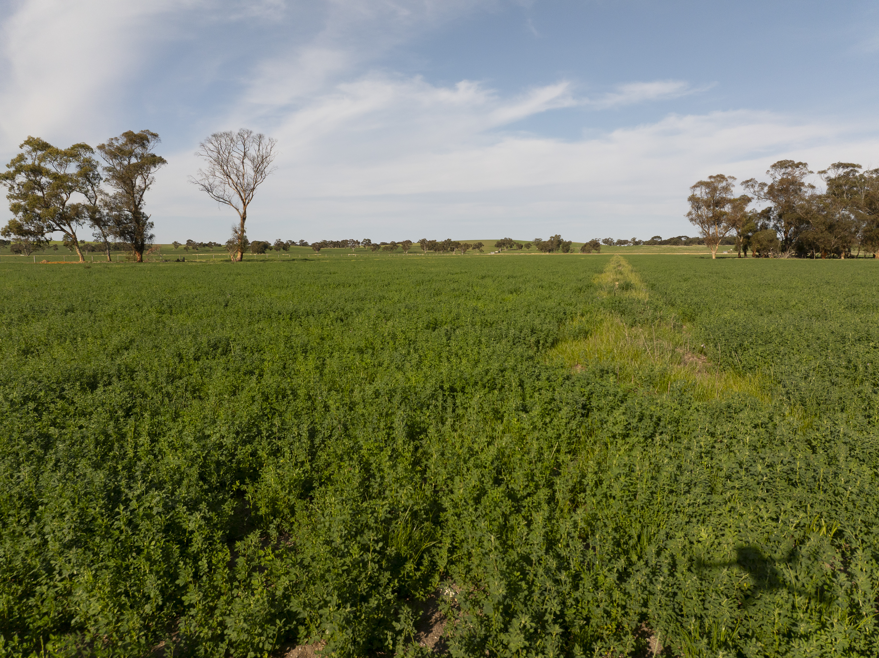 13488 Dukes Highway, Keith SA 5267