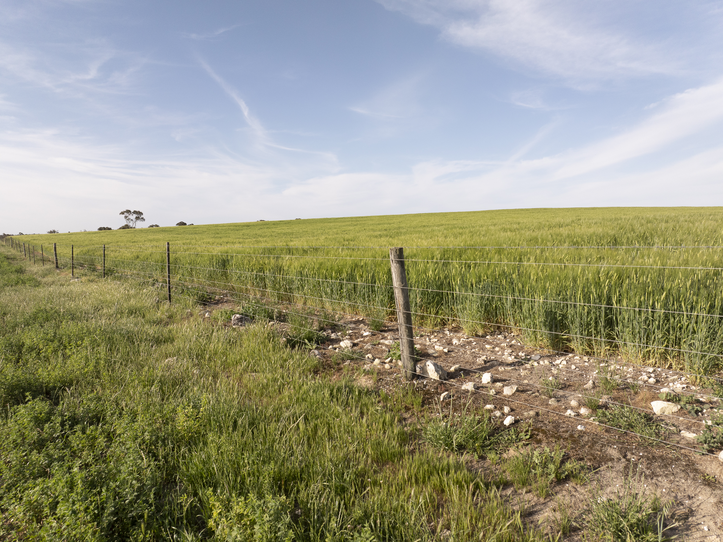 13488 Dukes Highway, Keith SA 5267