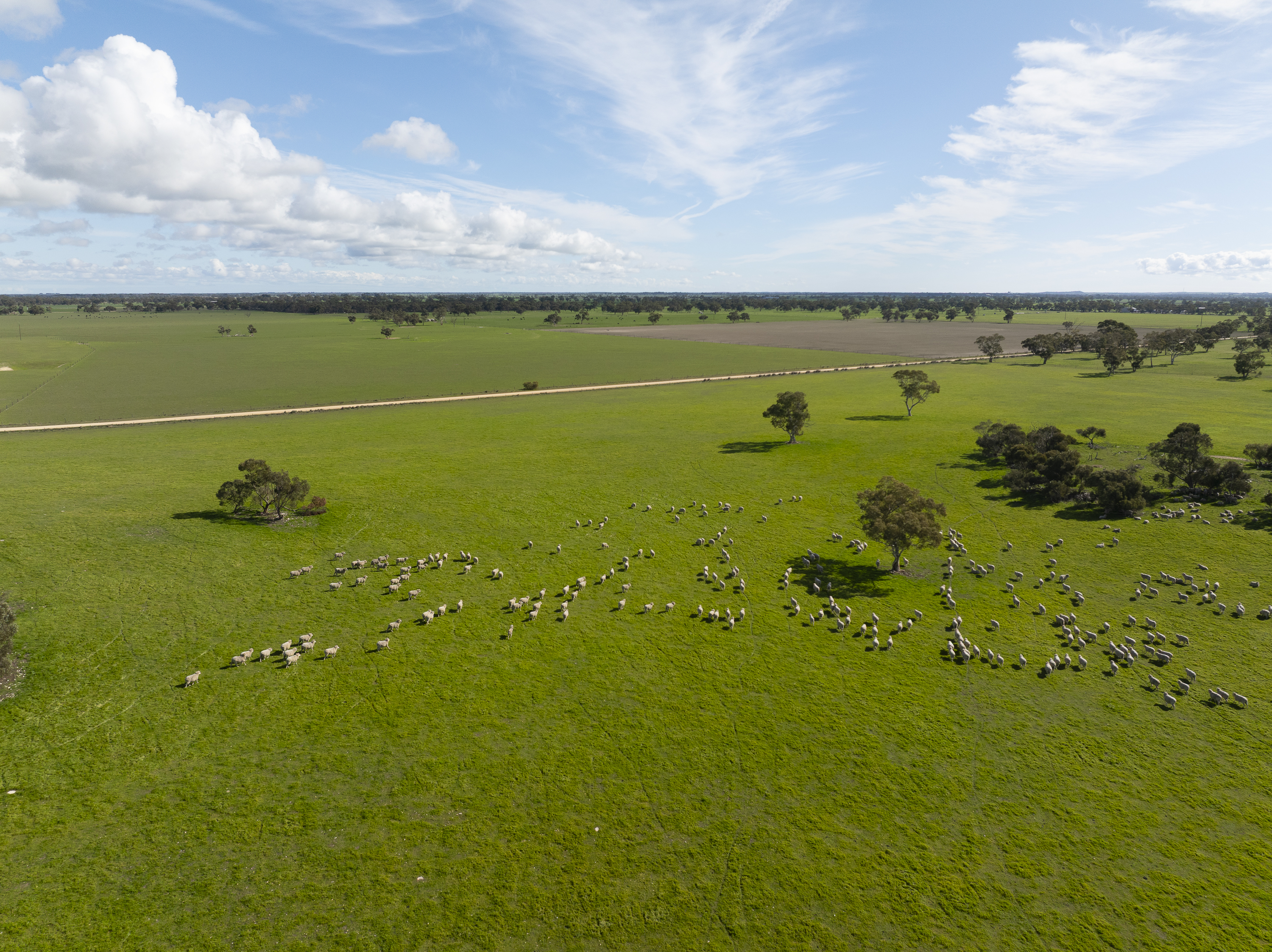 13488 Dukes Highway, Keith SA 5267