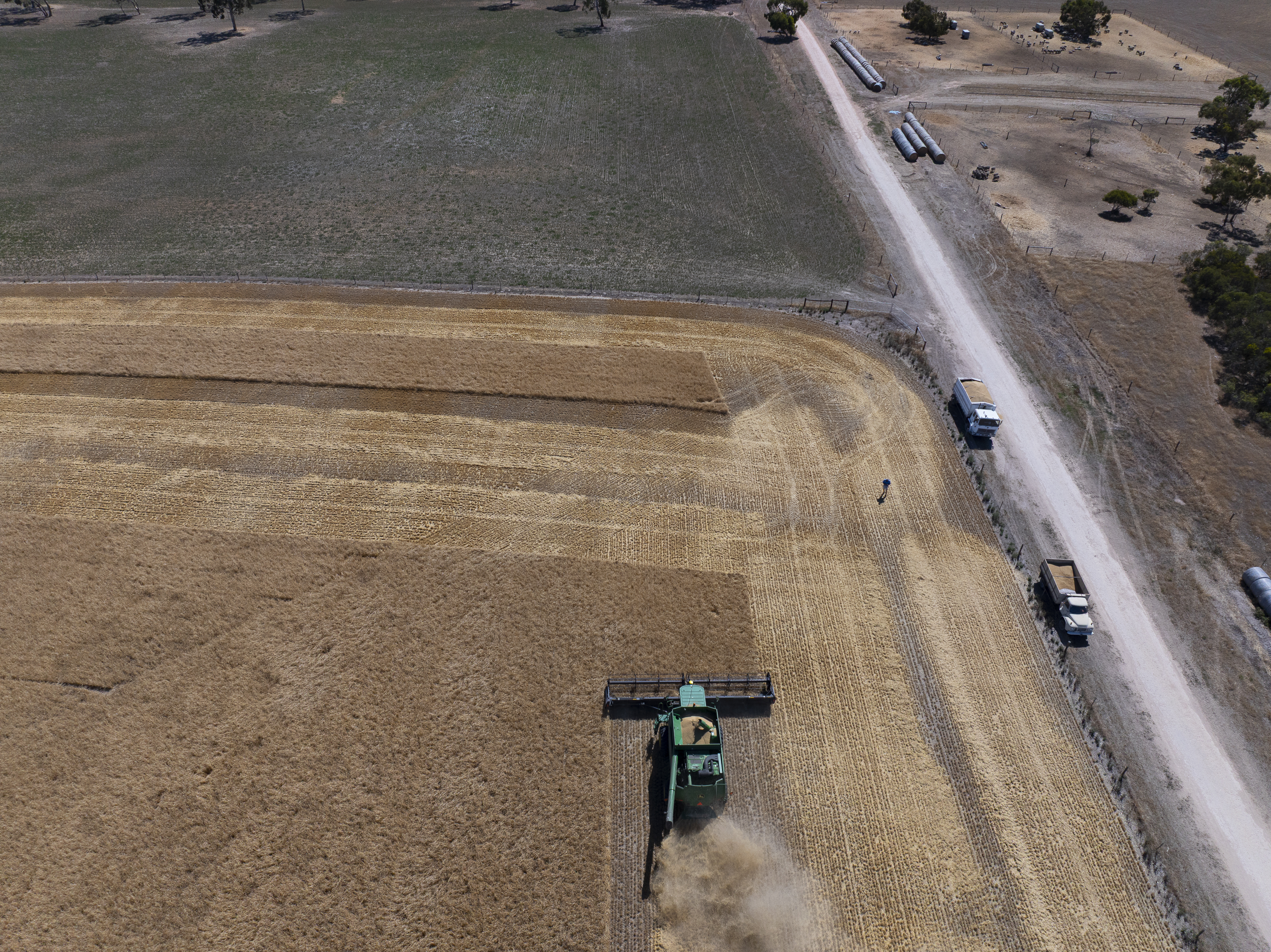 13488 Dukes Highway, Keith SA 5267