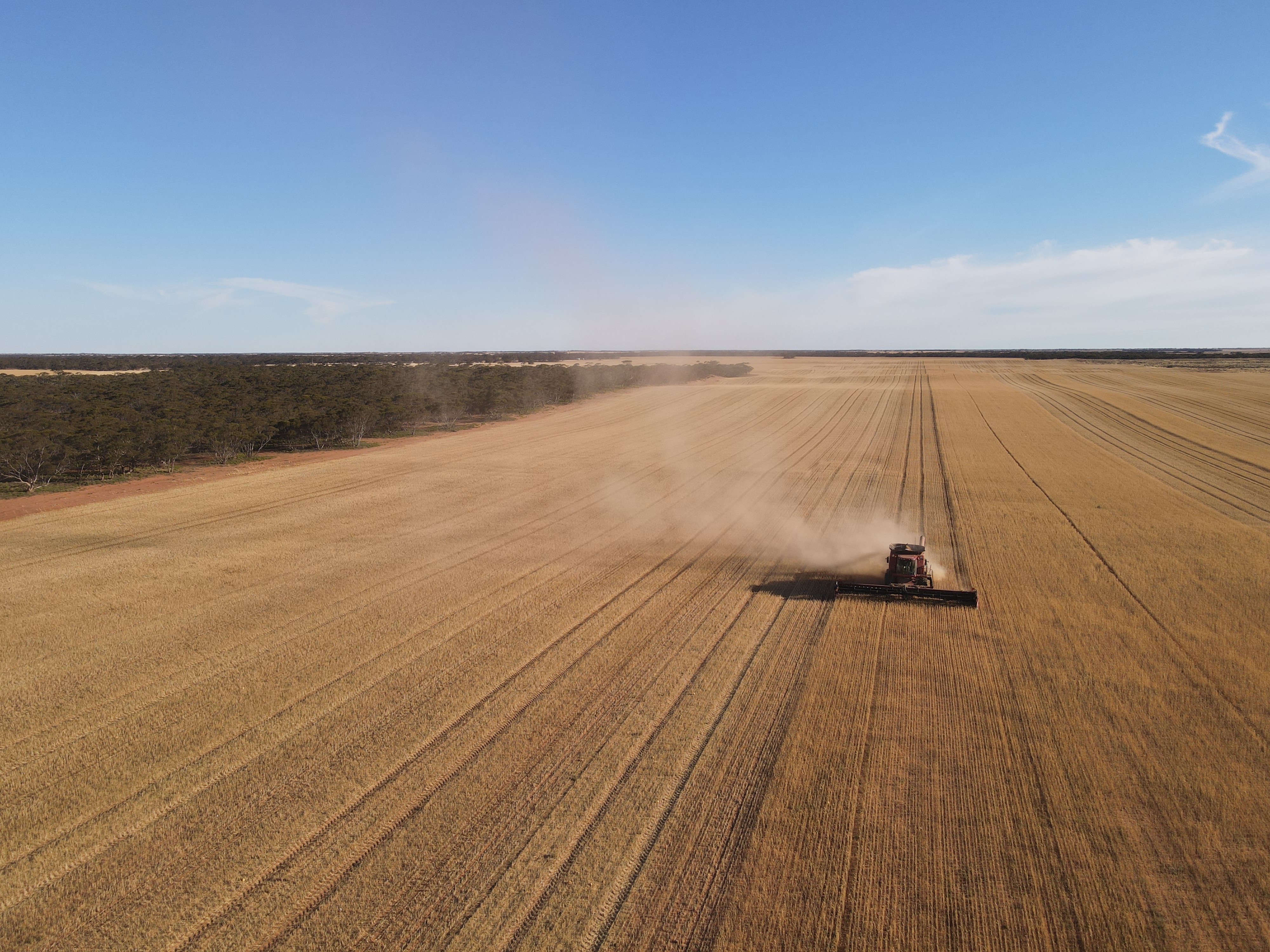 1719 New Well Road, Waikerie SA 5330