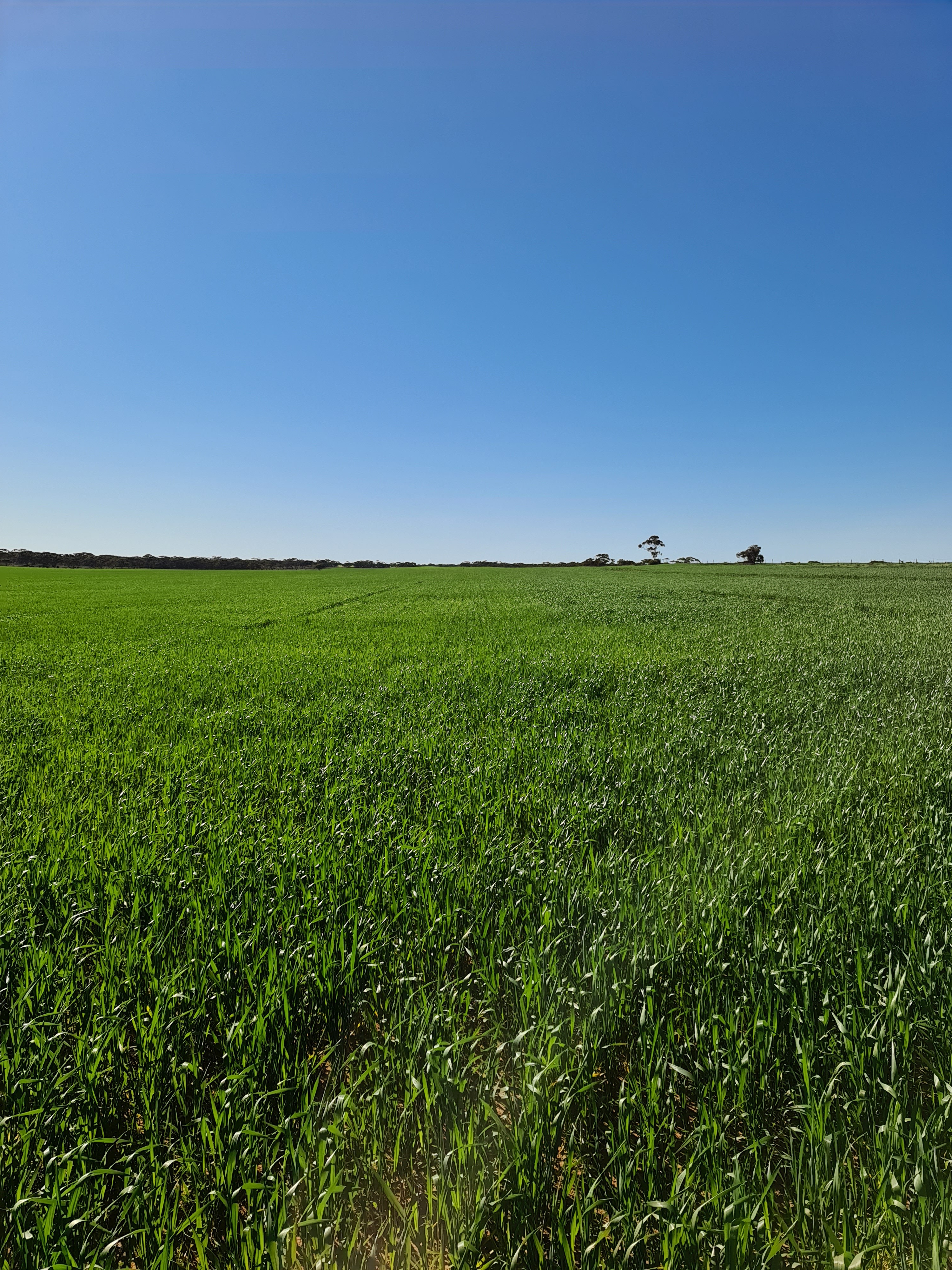 1719 New Well Road, Waikerie SA 5330