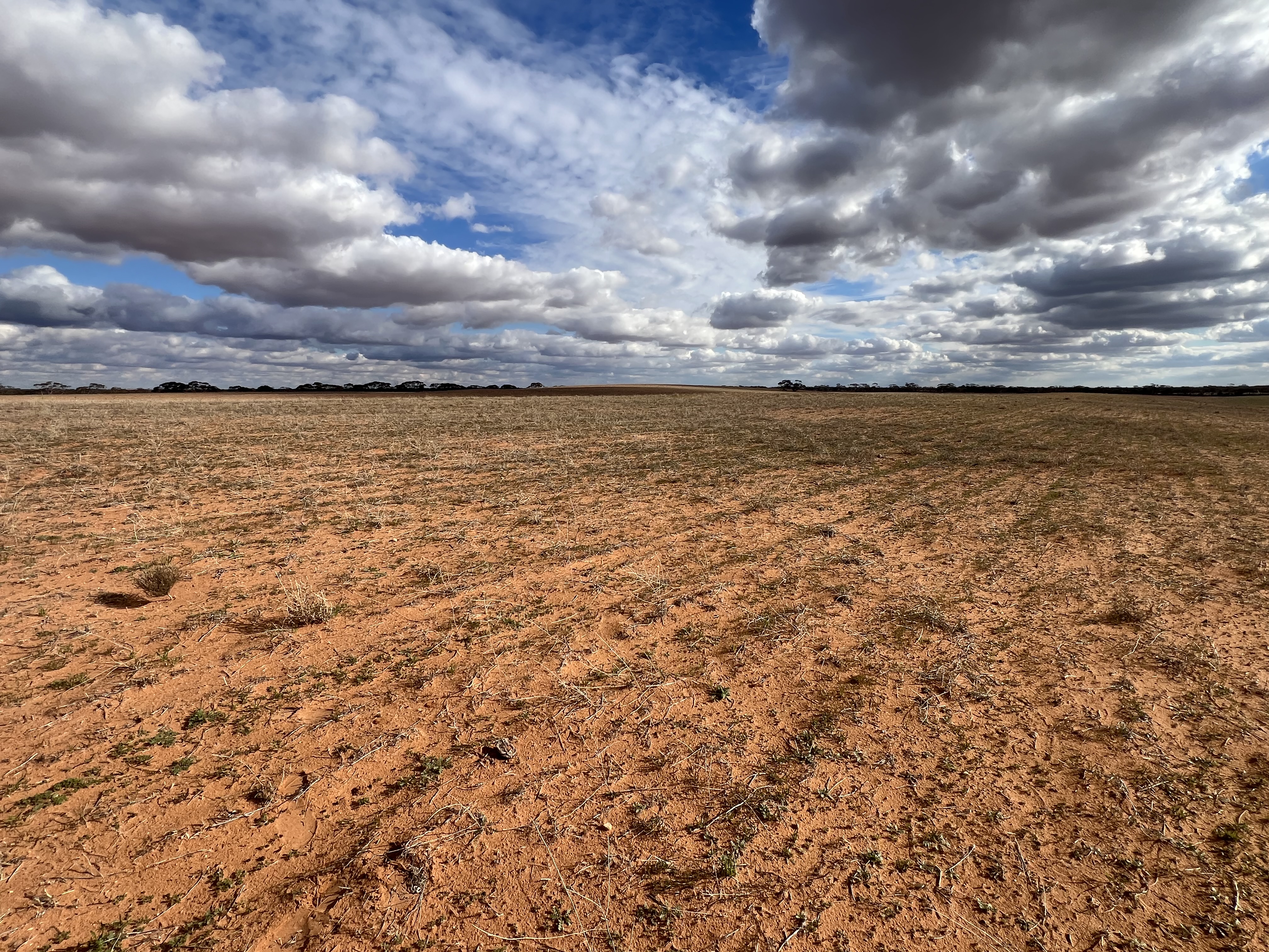 1719 New Well Road, Waikerie SA 5330