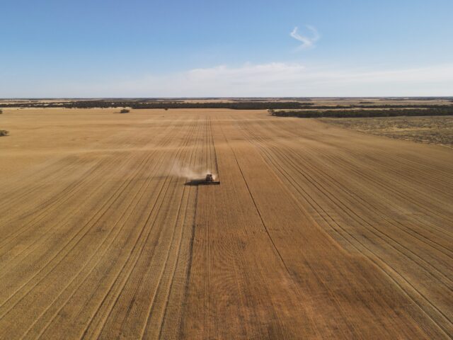 Section 221 and 263 New Well Road, Waikerie SA 5330