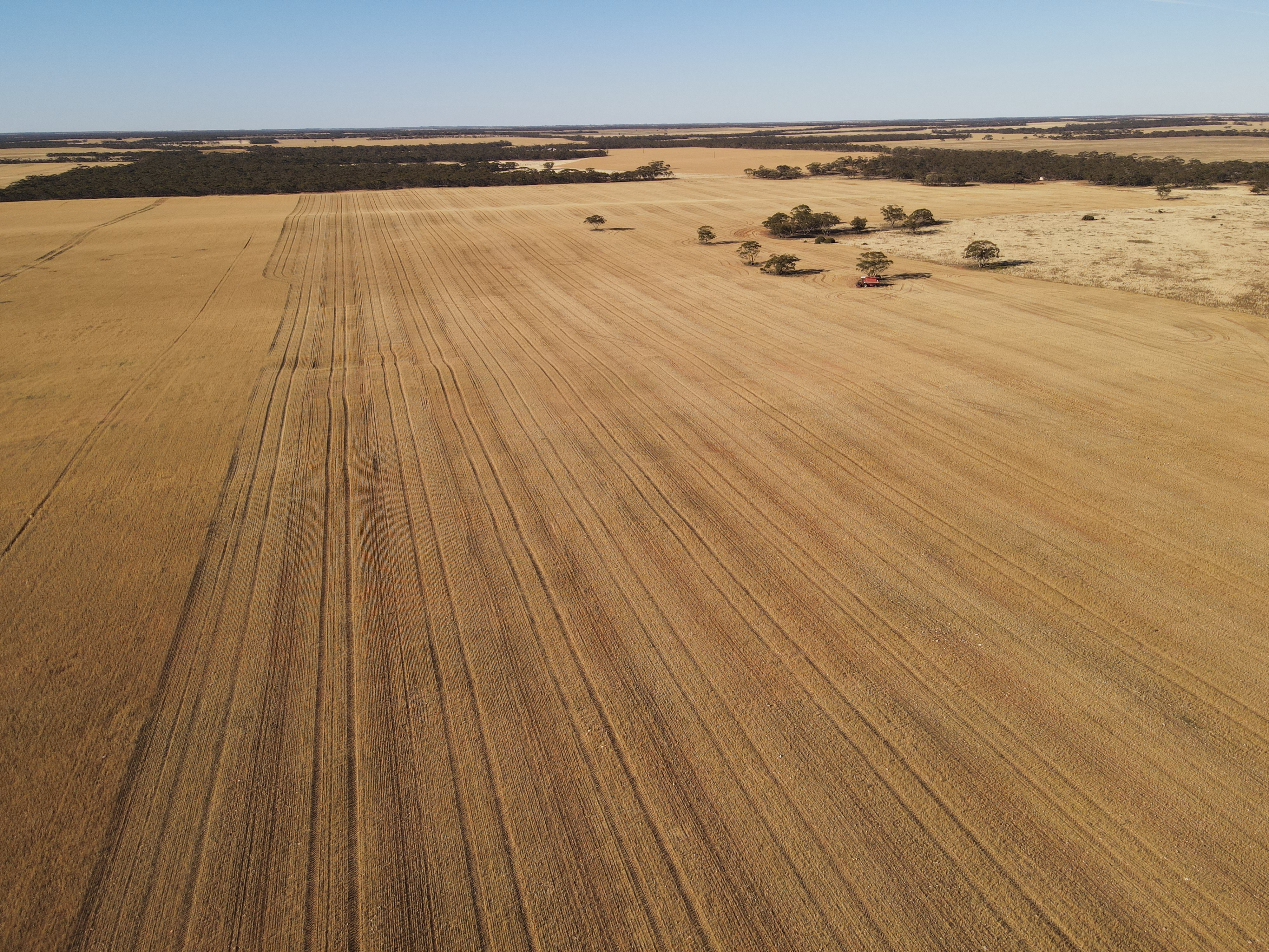 Section 221 and 263 New Well Road, Waikerie SA 5330