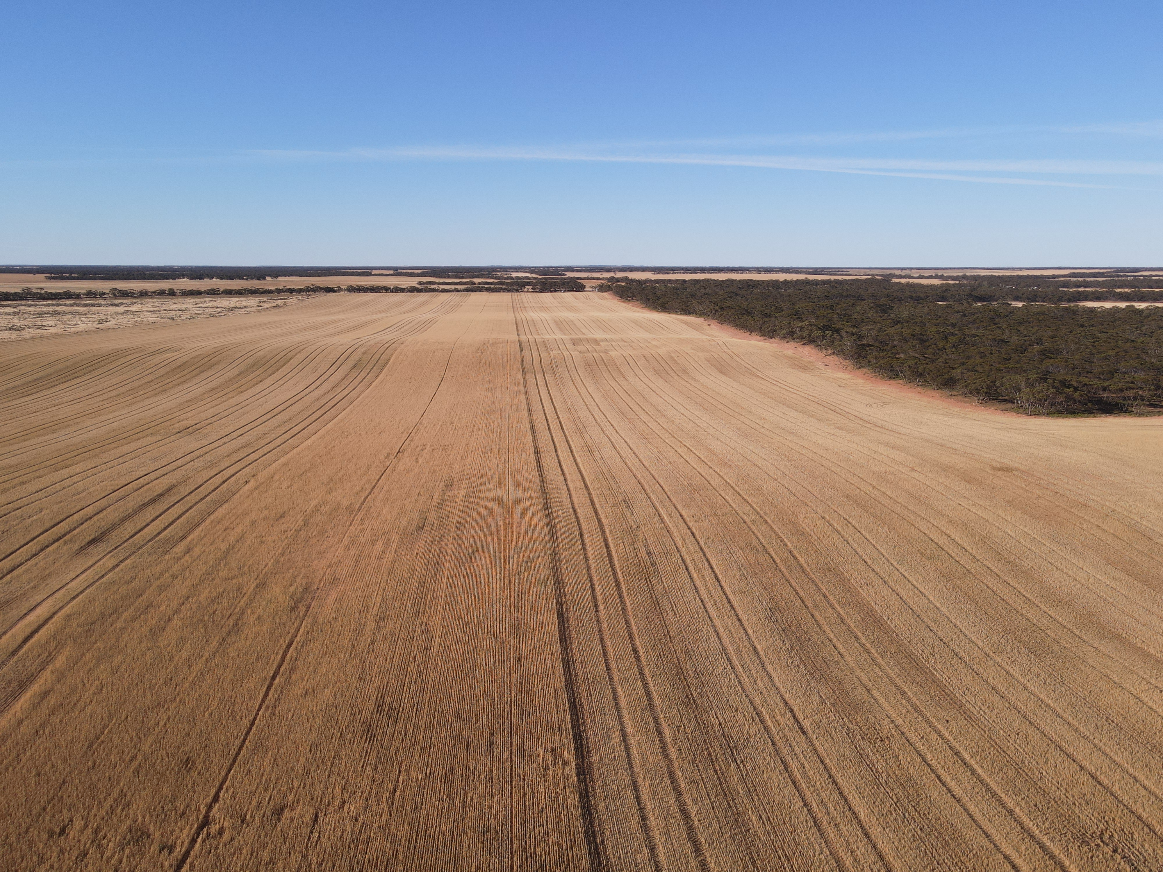 Section 221 and 263 New Well Road, Waikerie SA 5330