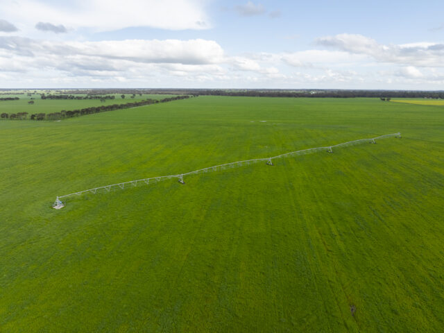 1427 Naracoorte Road, Bordertown SA 5268