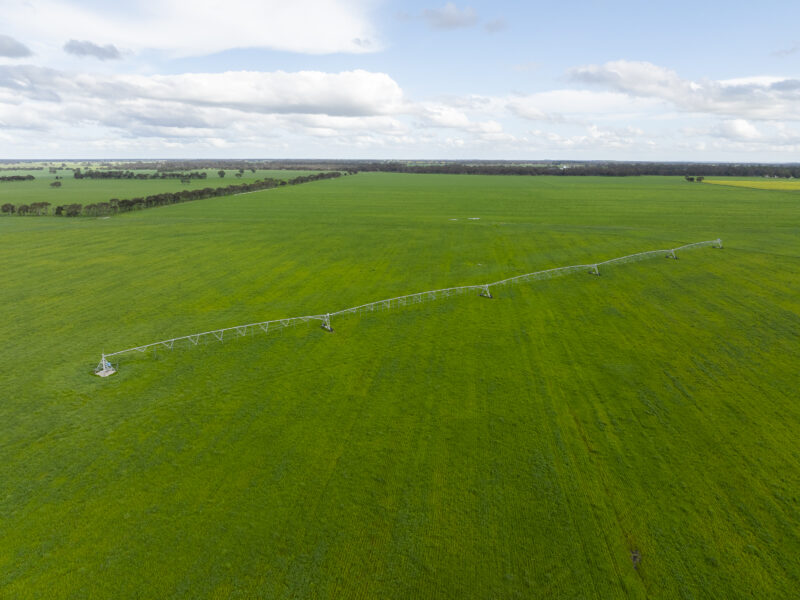 1427 Naracoorte Road, Bordertown SA 5268
