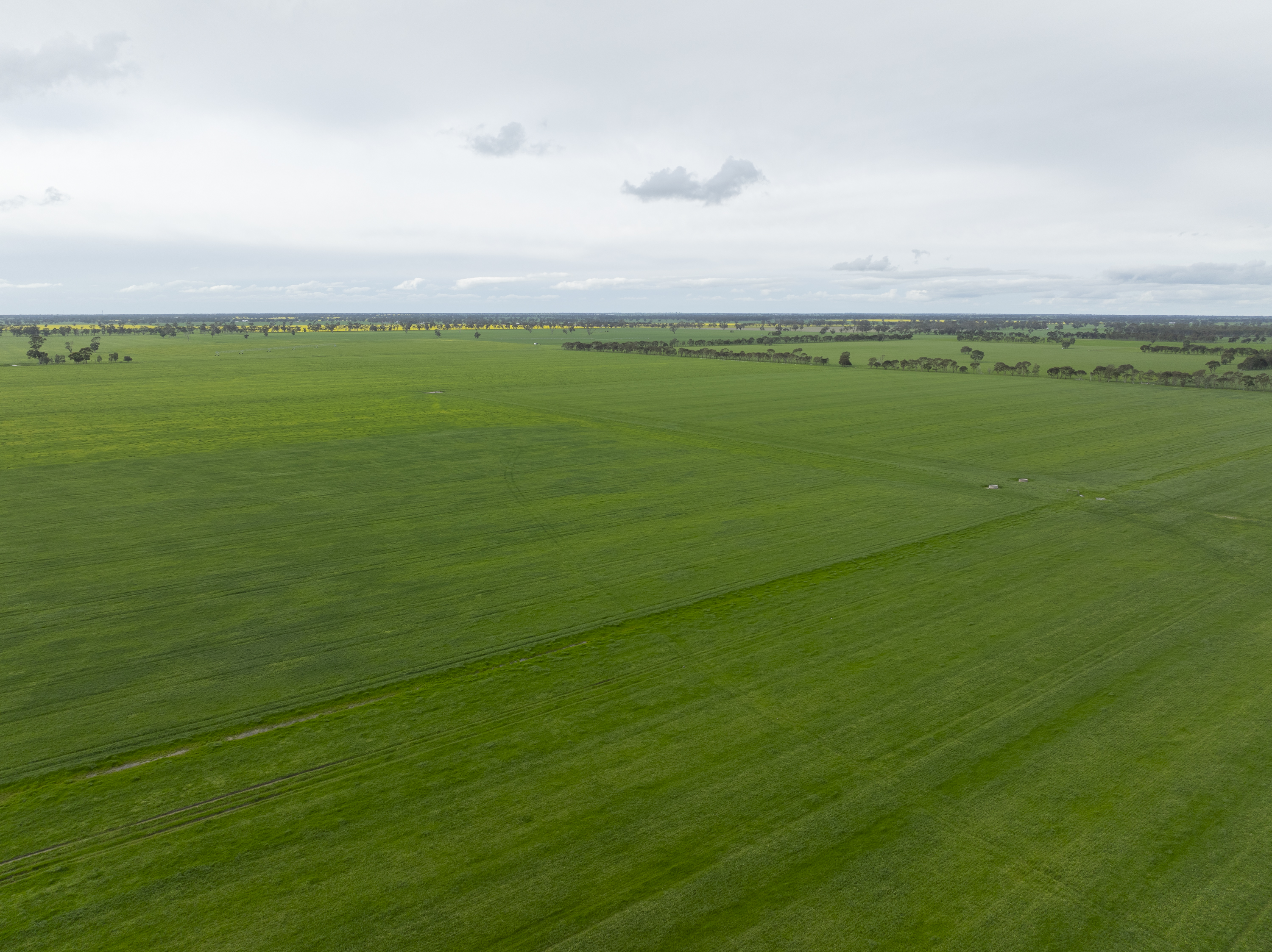 1427 Naracoorte Road, Bordertown SA 5268