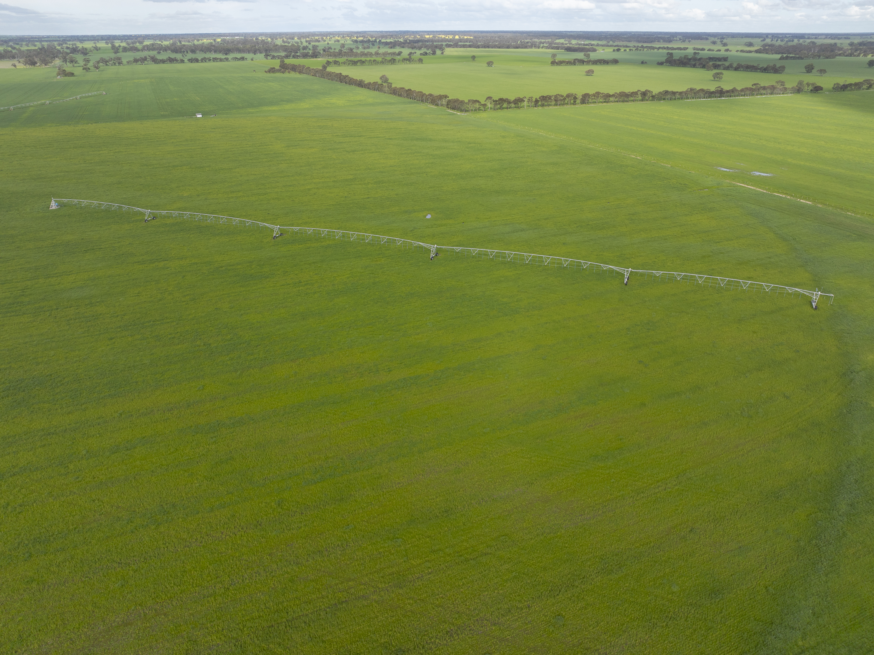 1427 Naracoorte Road, Bordertown SA 5268