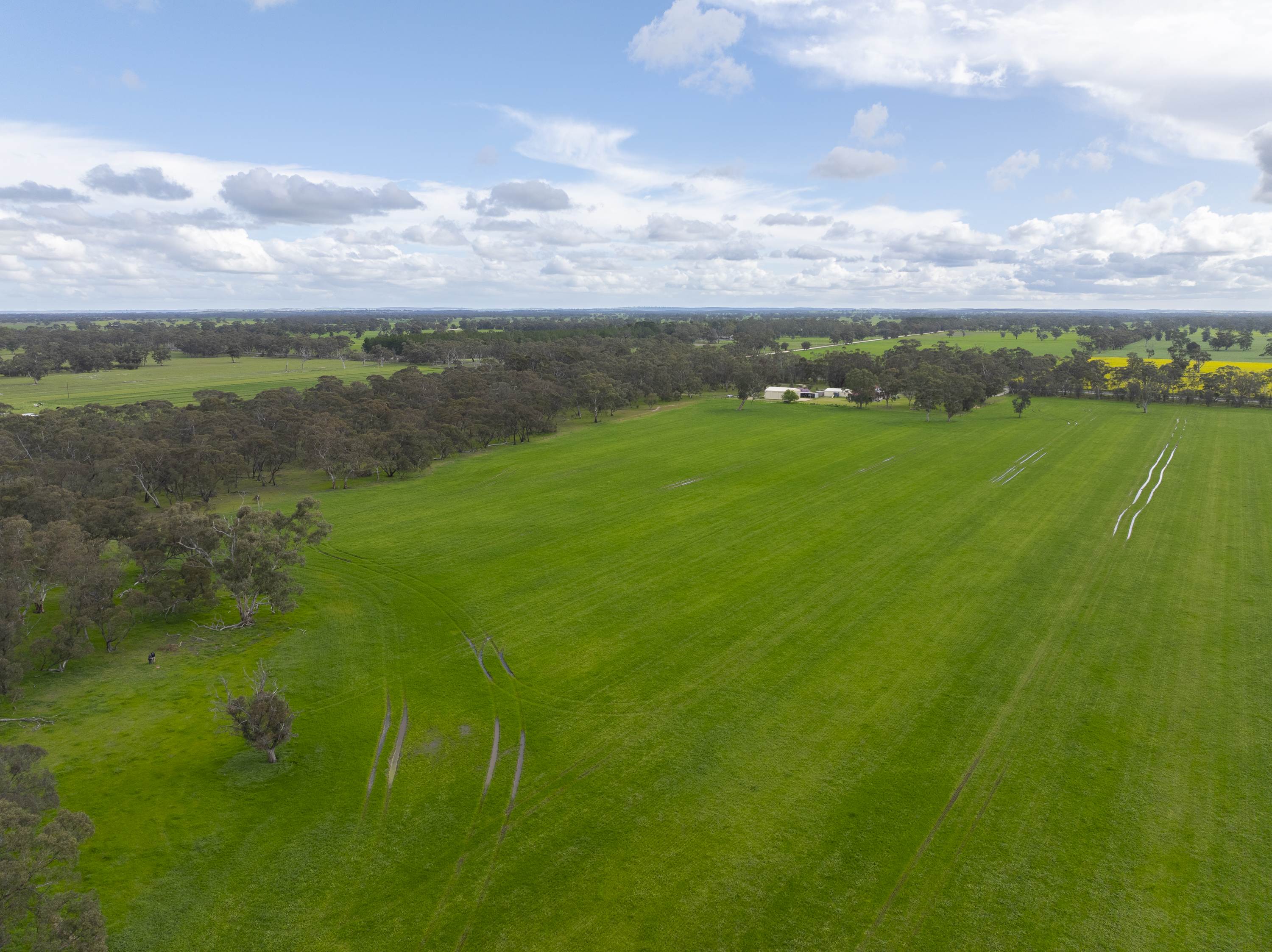 1427 Naracoorte Road, Bordertown SA 5268