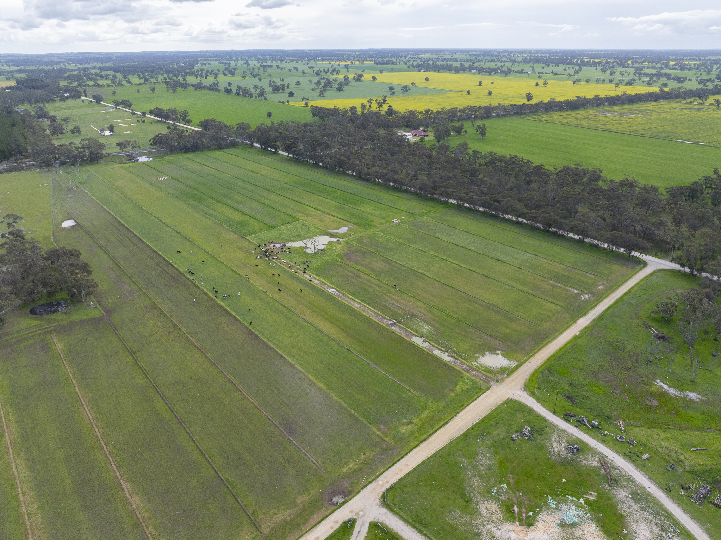 1427 Naracoorte Road, Bordertown SA 5268