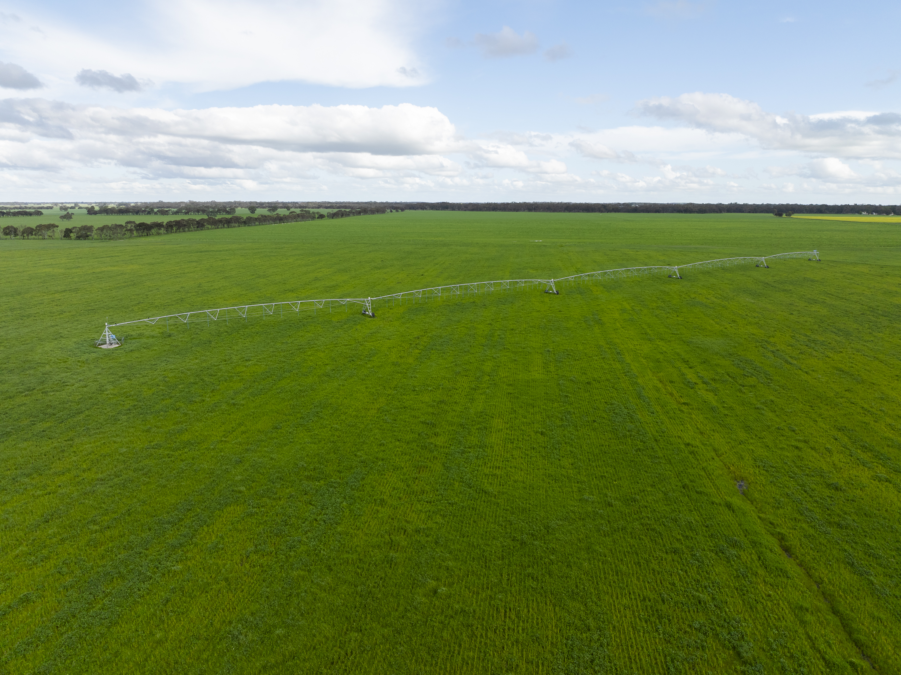 1427 Naracoorte Road, Bordertown SA 5268